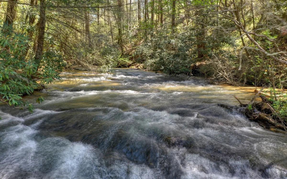 Falls Watch #73