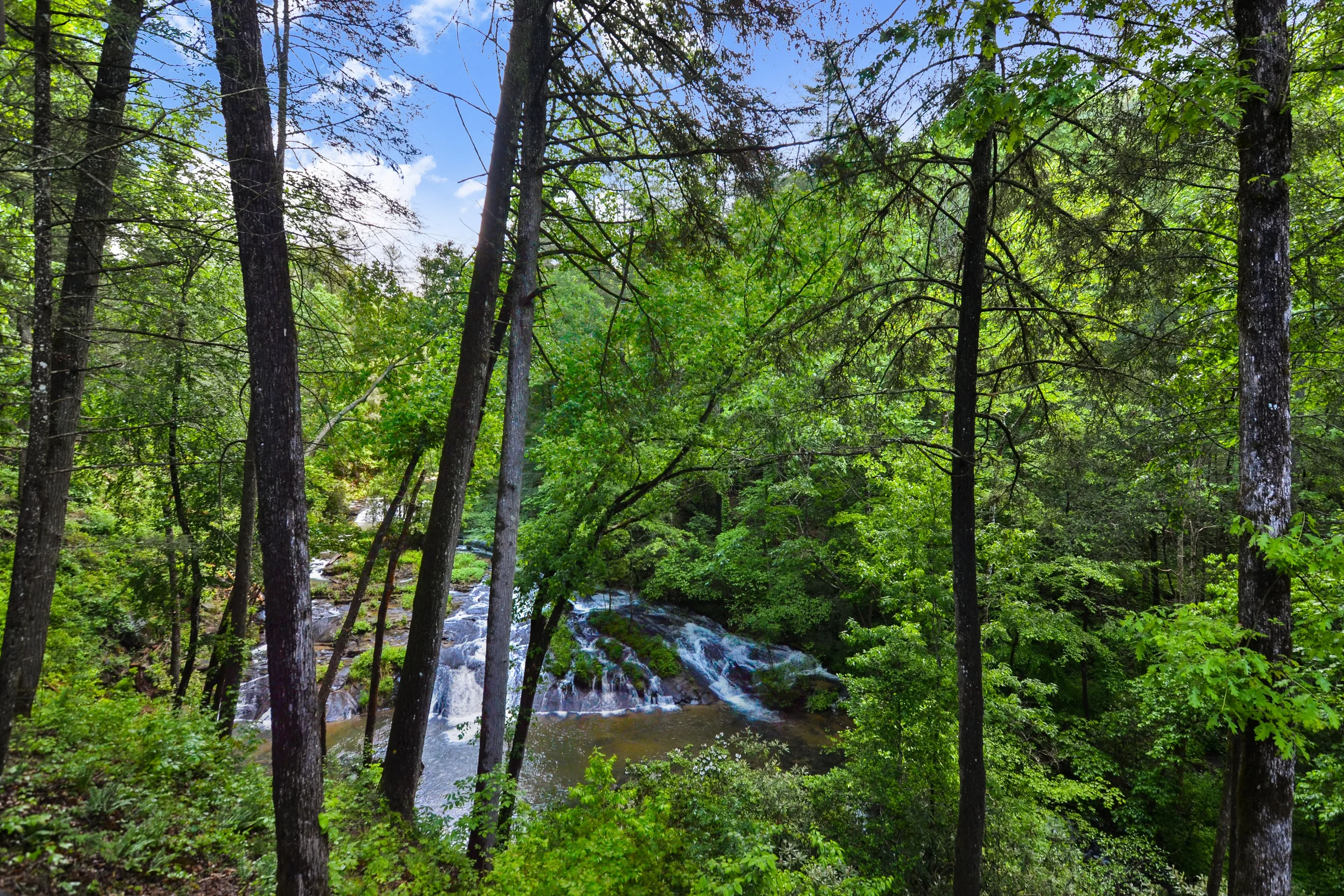 Falls Watch #91