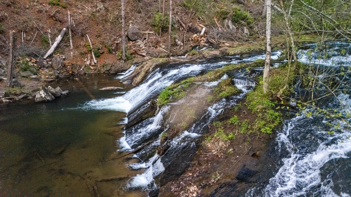Falls Watch #103