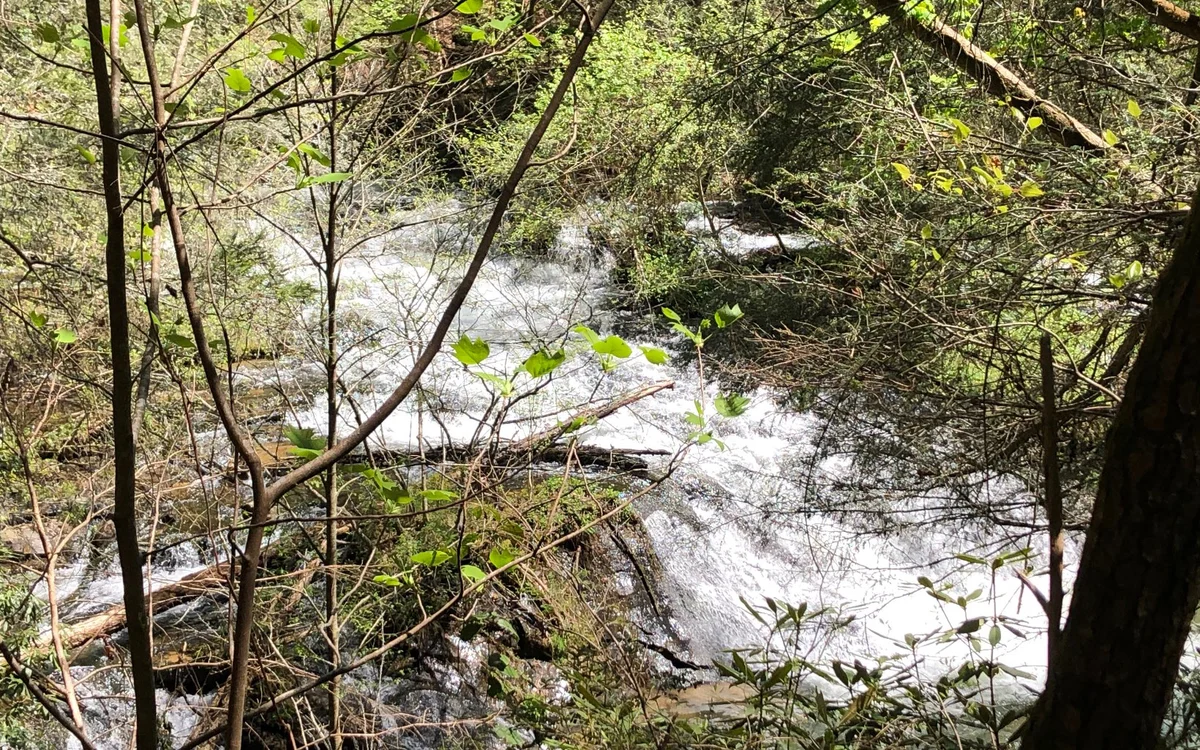 Falls Watch #121