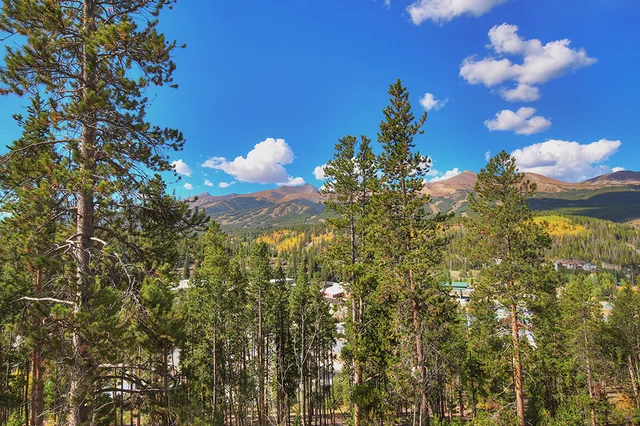 Breck Escape #99