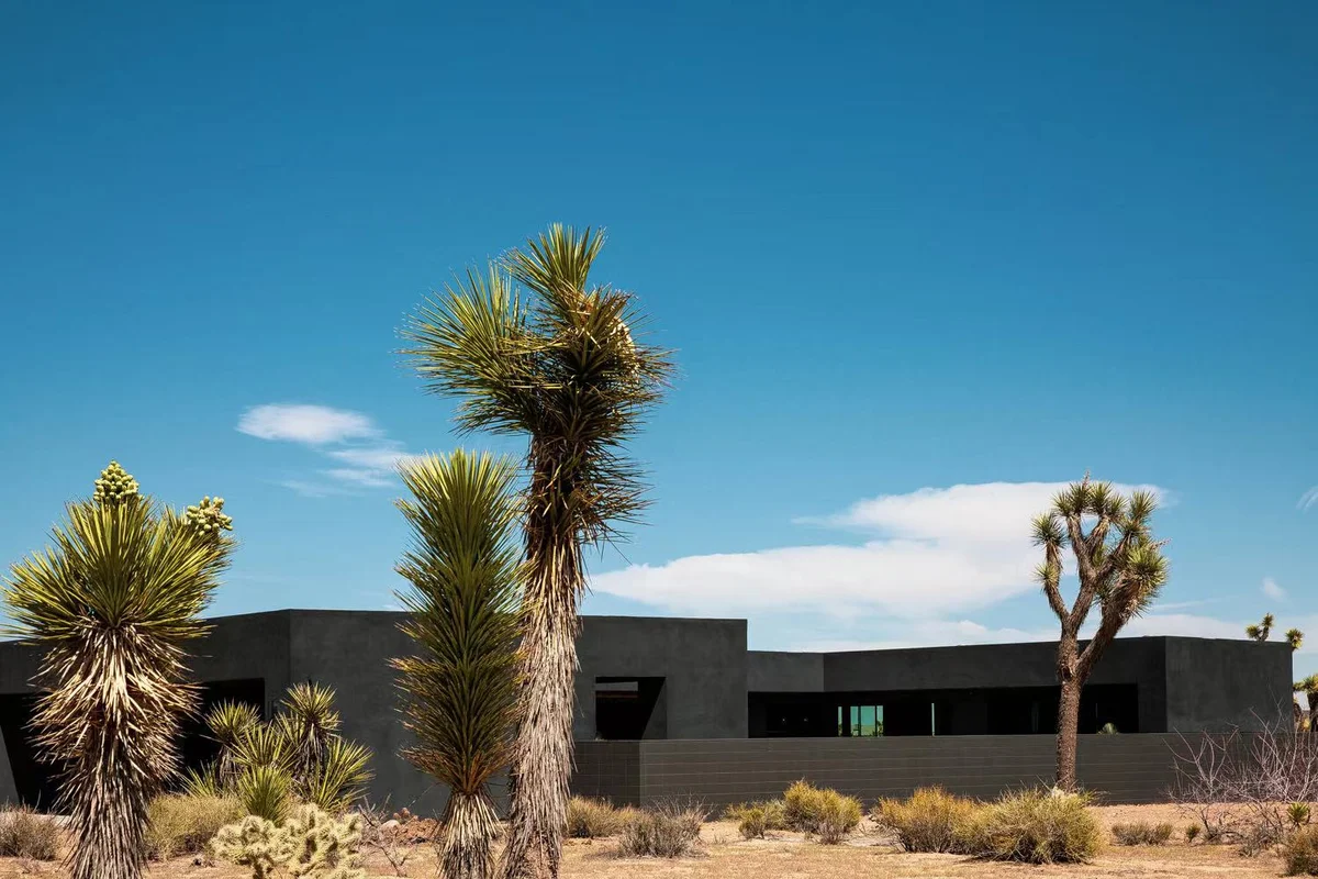 Warren Vista 2 - Black C-House #63