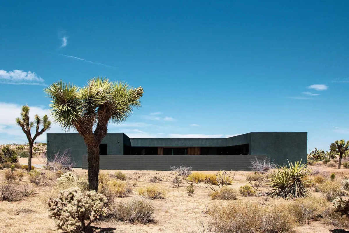 Warren Vista 2 - Black C-House #55