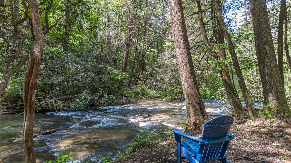 Watersong Rapids #91