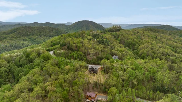 Blackberry Ridge Retreat #113