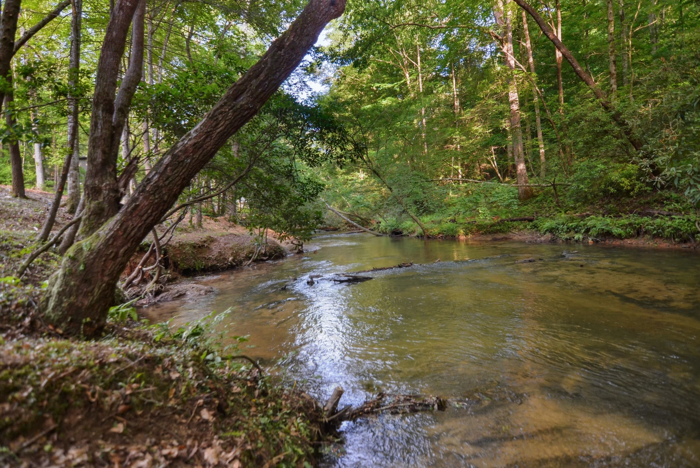 Blessings by the Creek #69