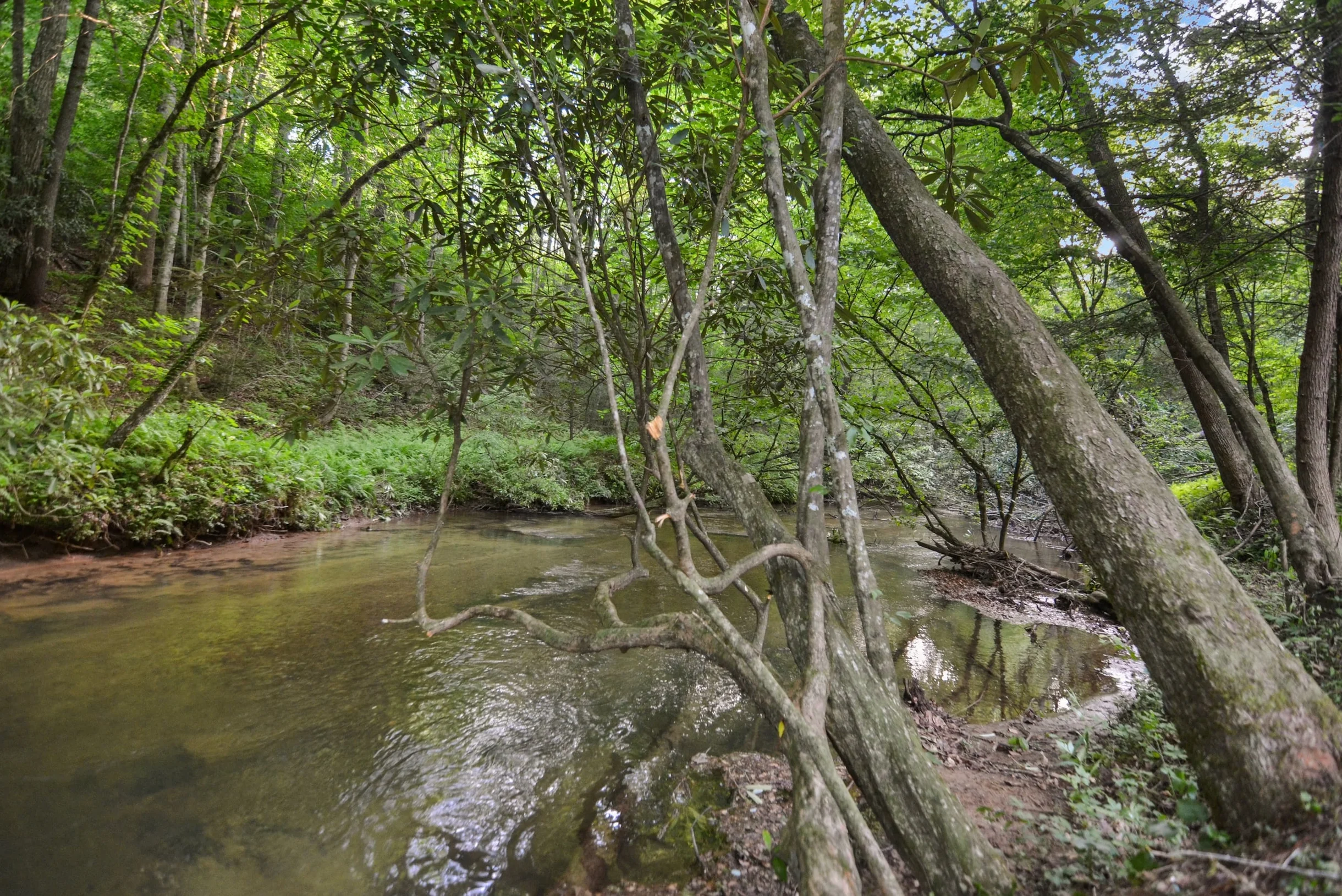 Blessings by the Creek #76