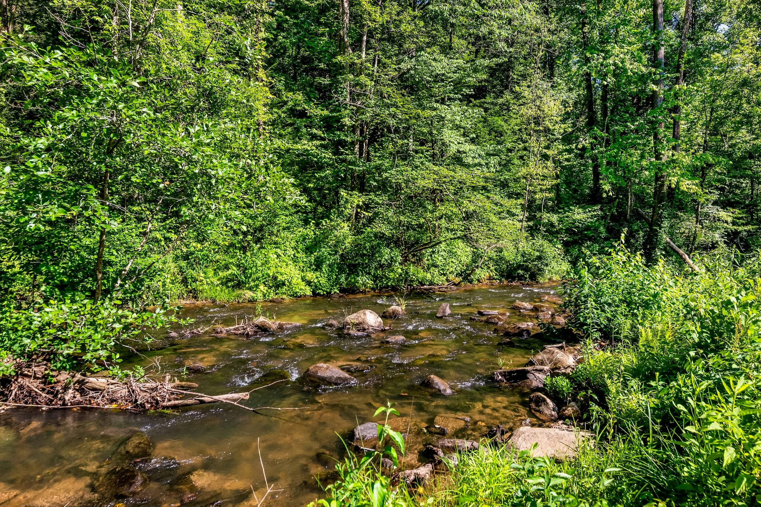 Creekside Manor #114
