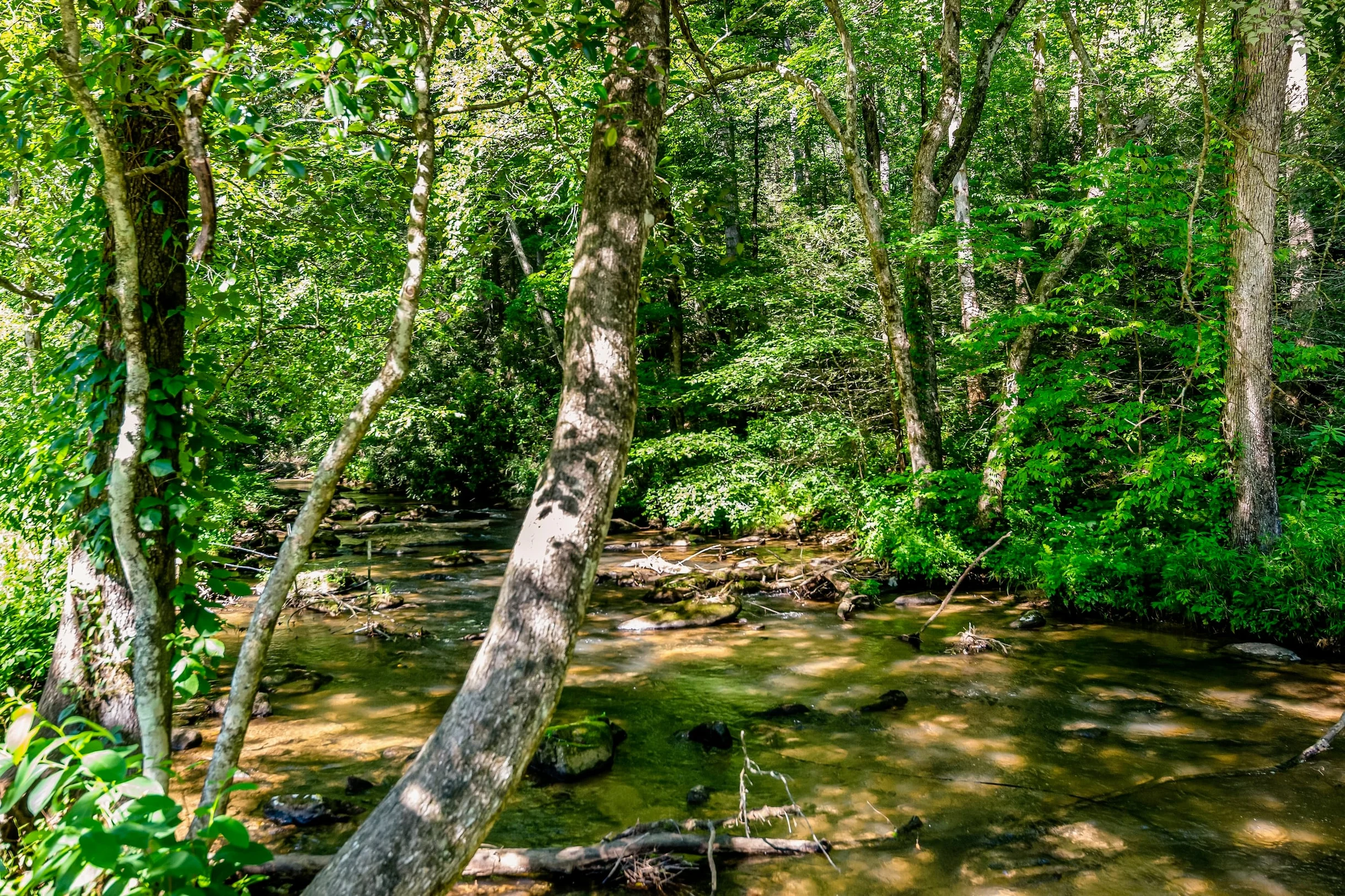 Creekside Manor #110