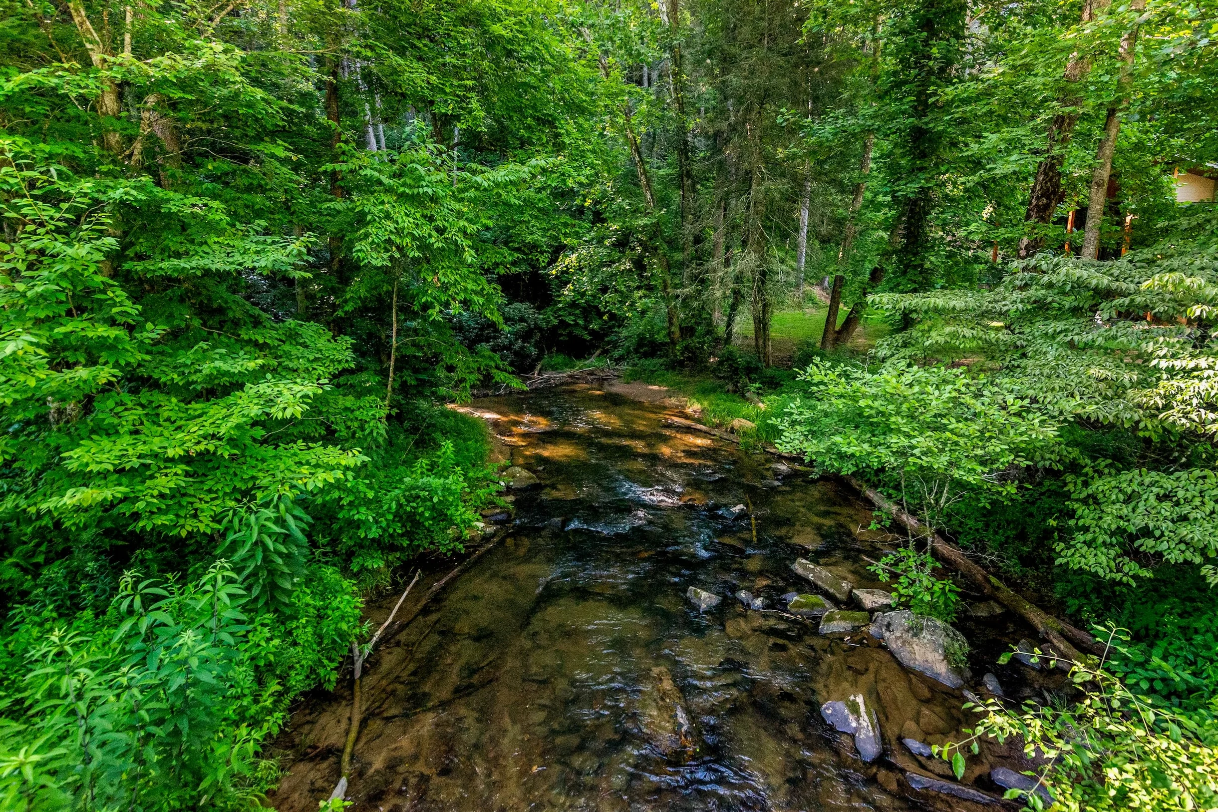 Creekside Manor #95