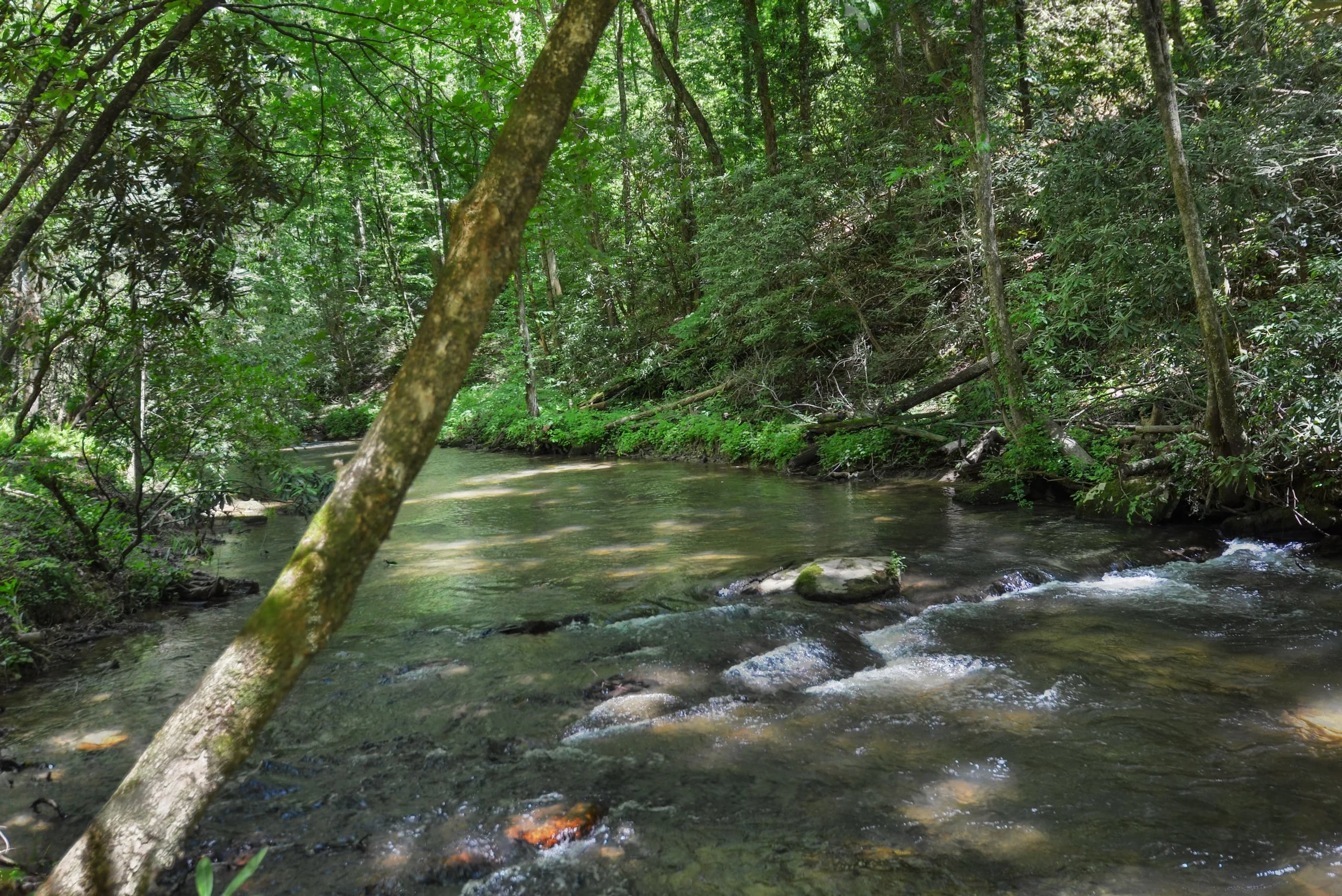 Creekside Style #53
