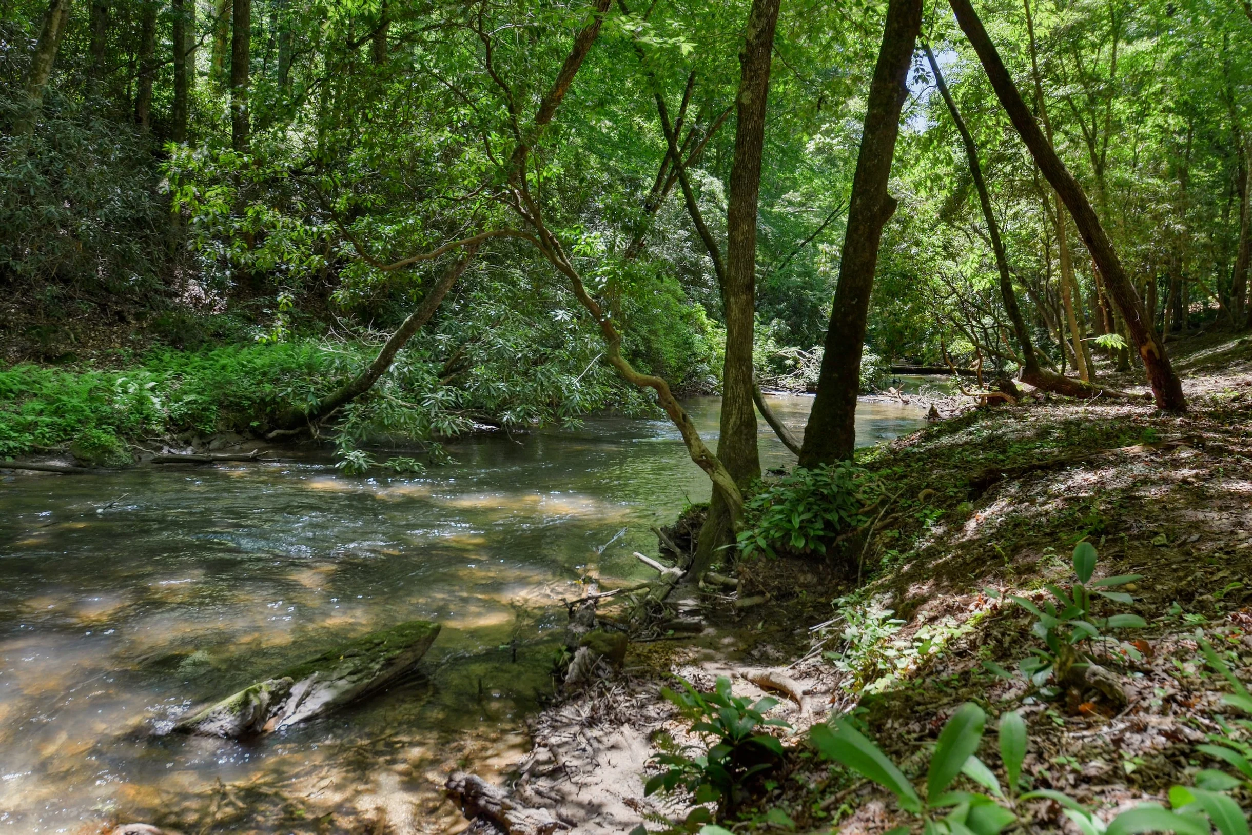 Creekside Style #87