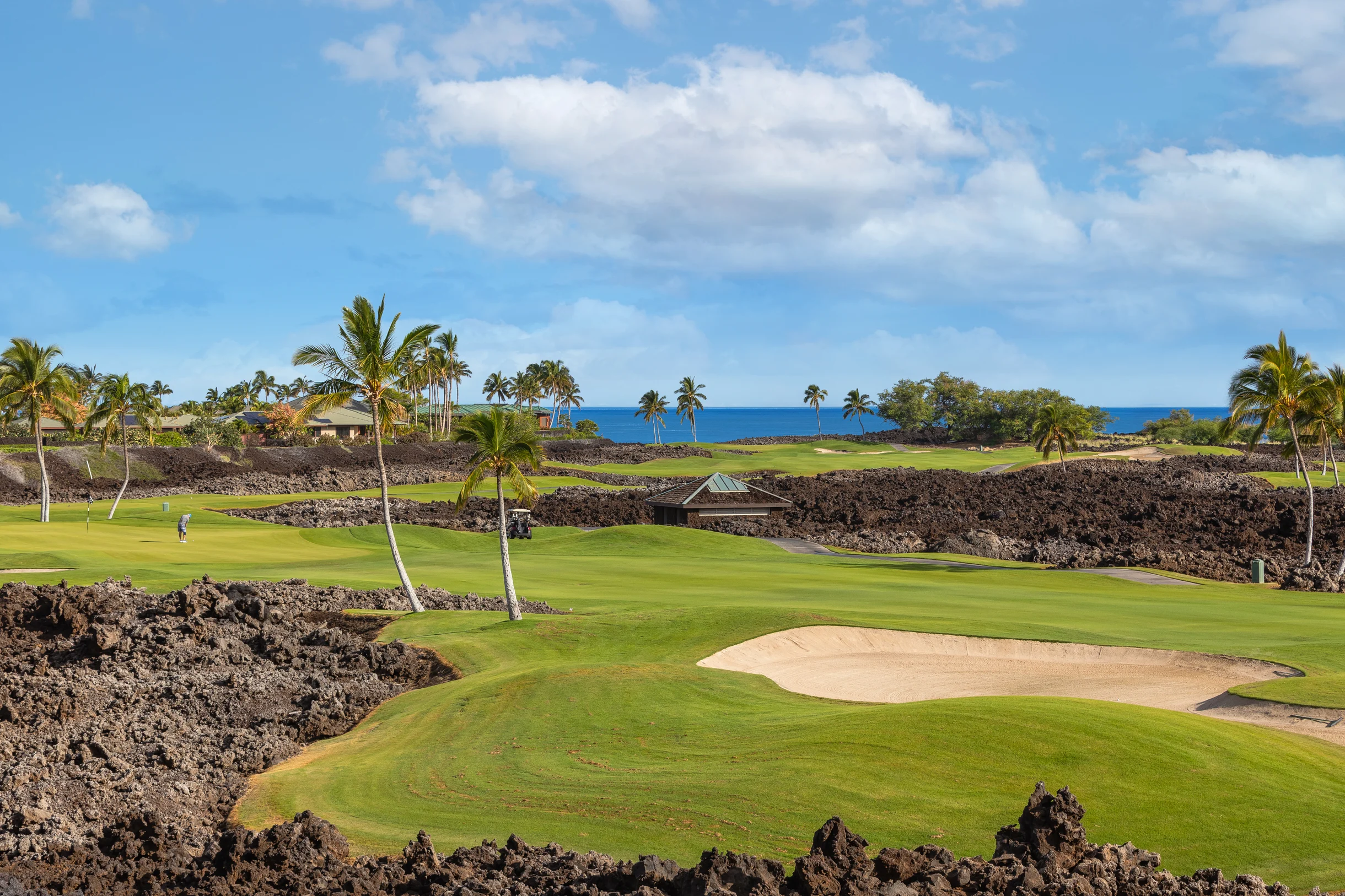6BD Mauna Lani Lux Golf Estate (3) at One Ocean #119