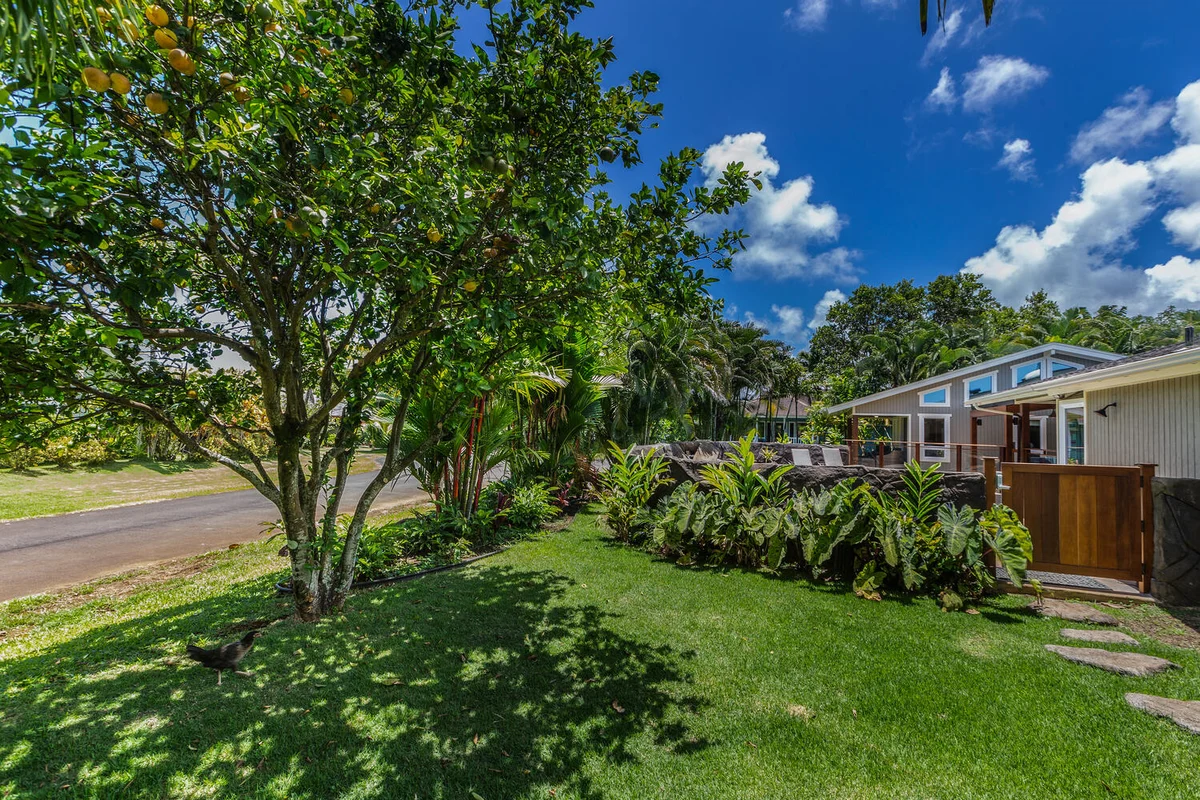 Lani Oasis #55
