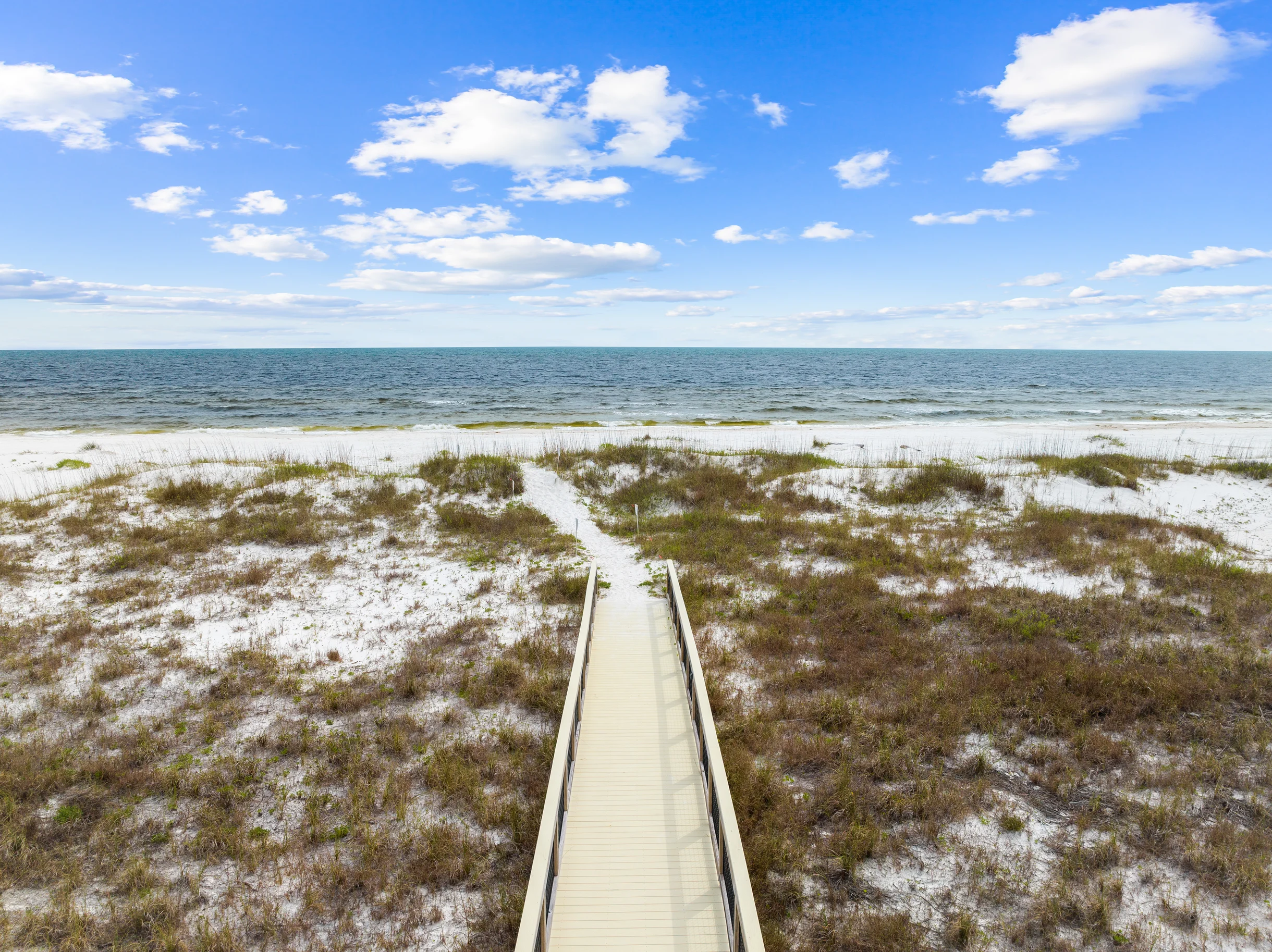 The Sea Suite #100