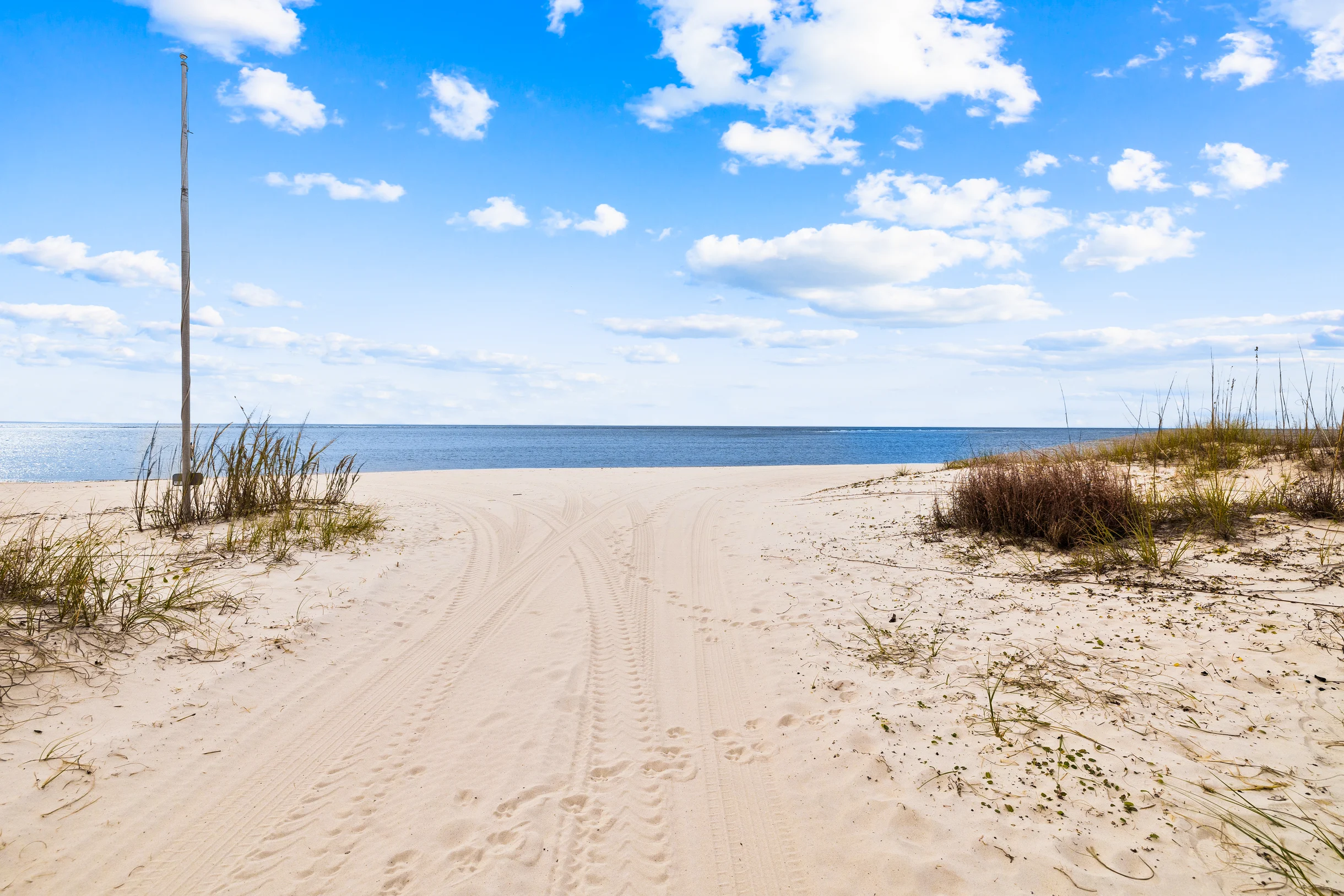 Belle of the Beach #65