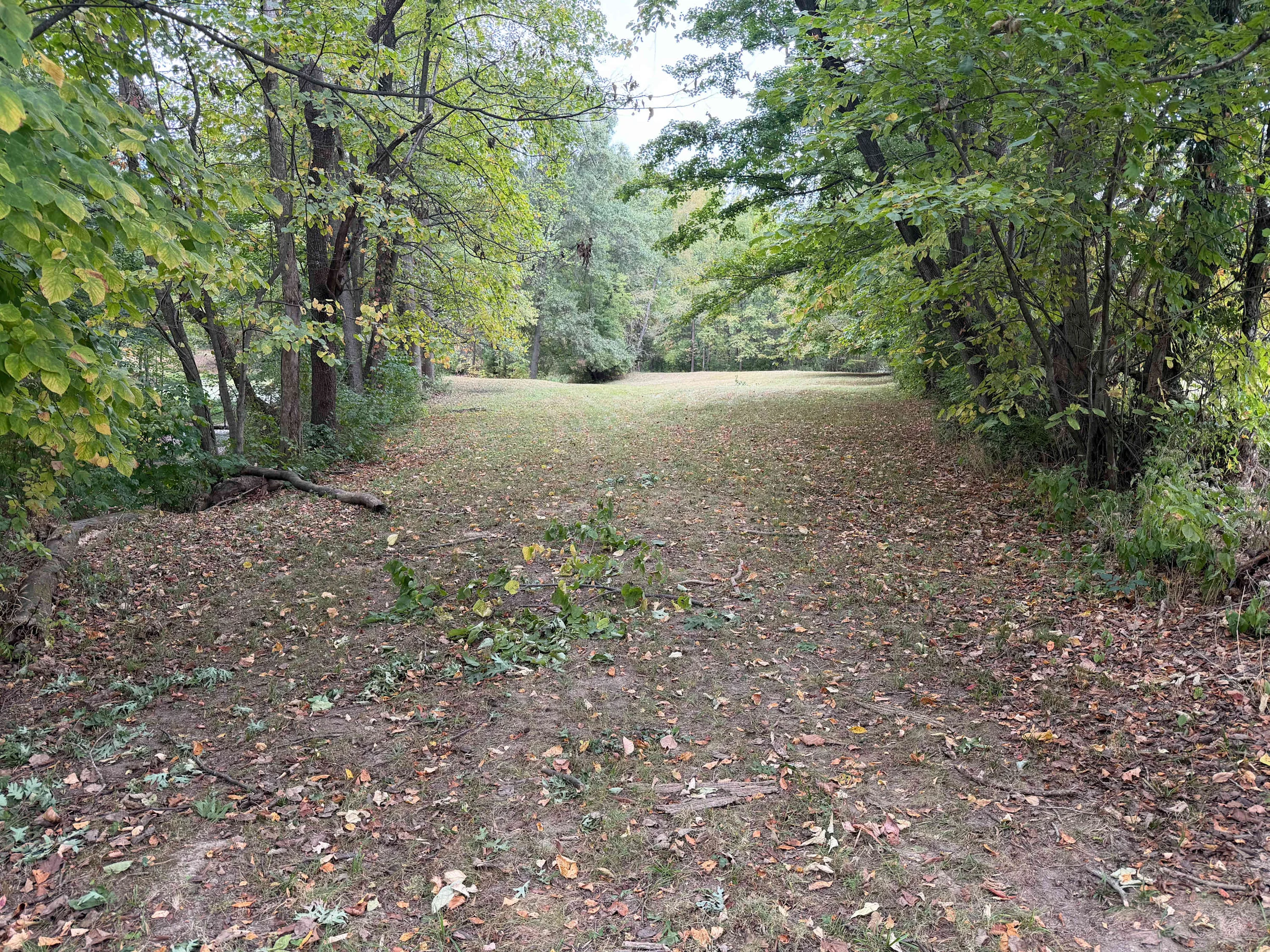 Wander Terre Haute Escape #80