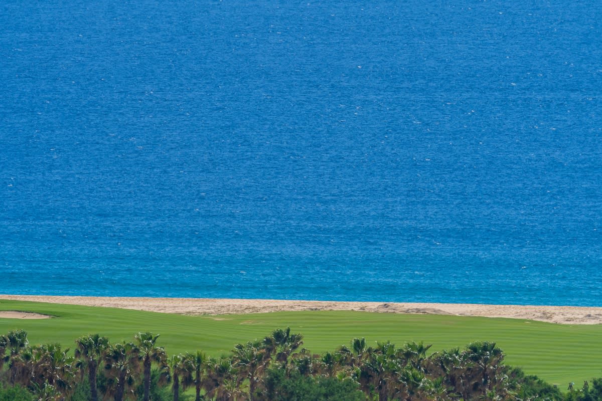 Wander Cabo Pacific #70