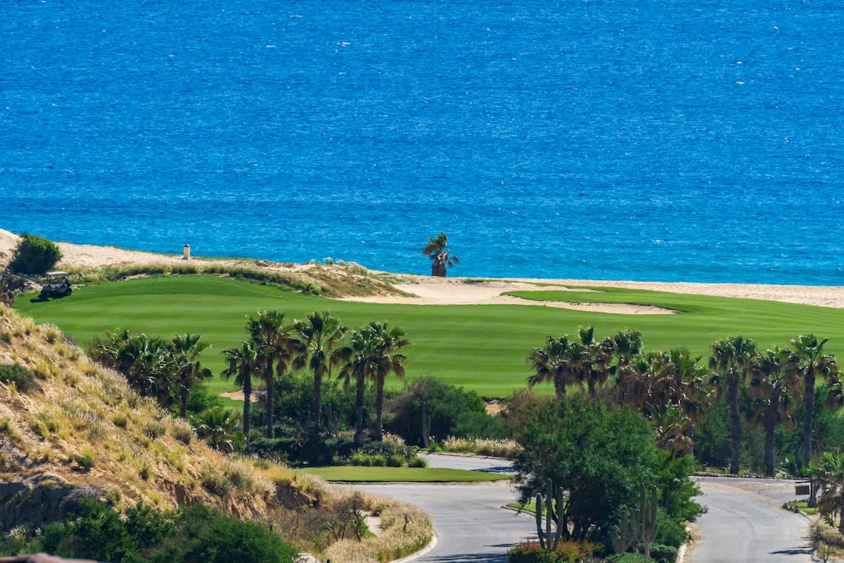 Wander Cabo Pacific #79