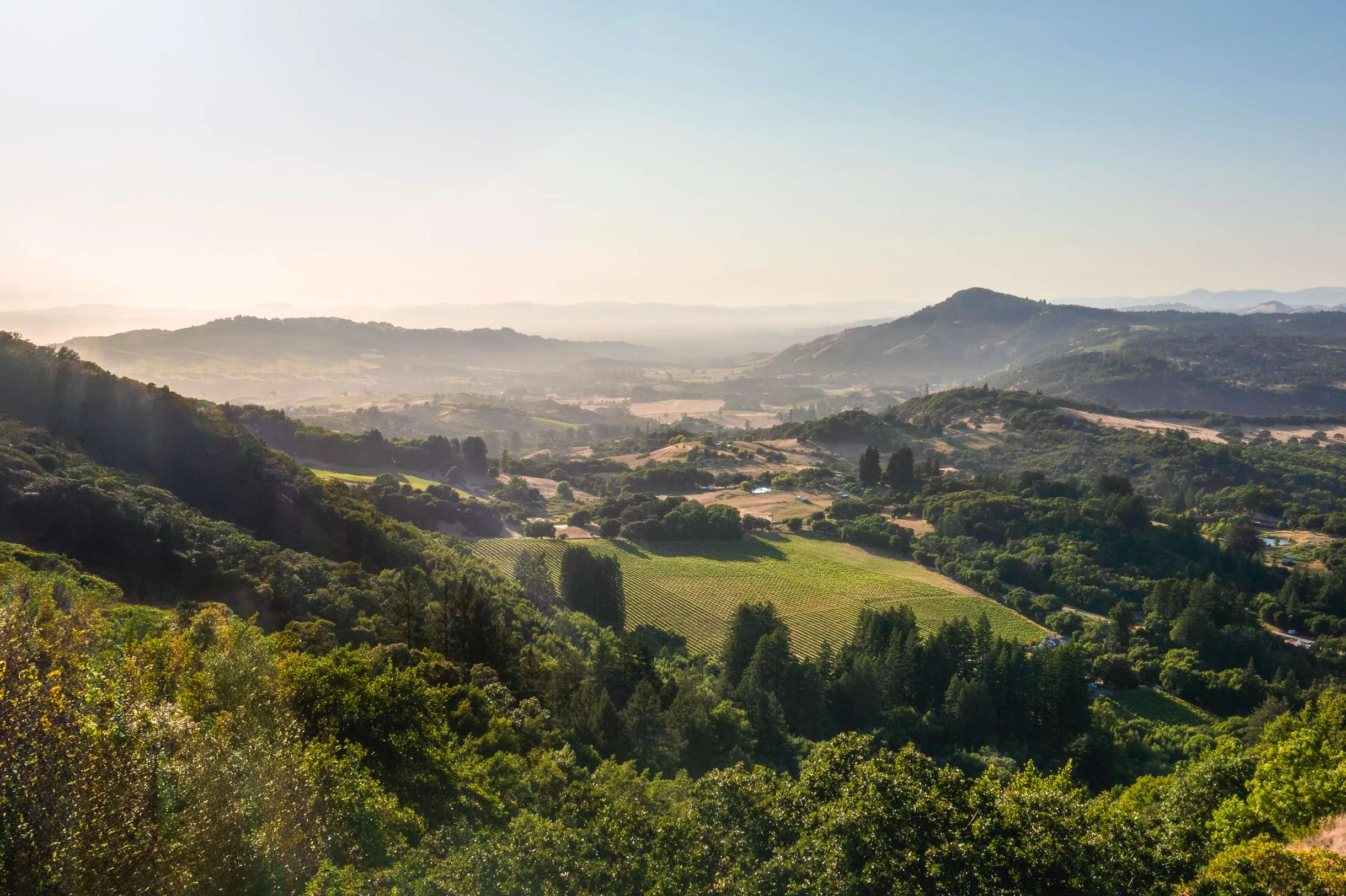 Wander Sonoma Retreat #59