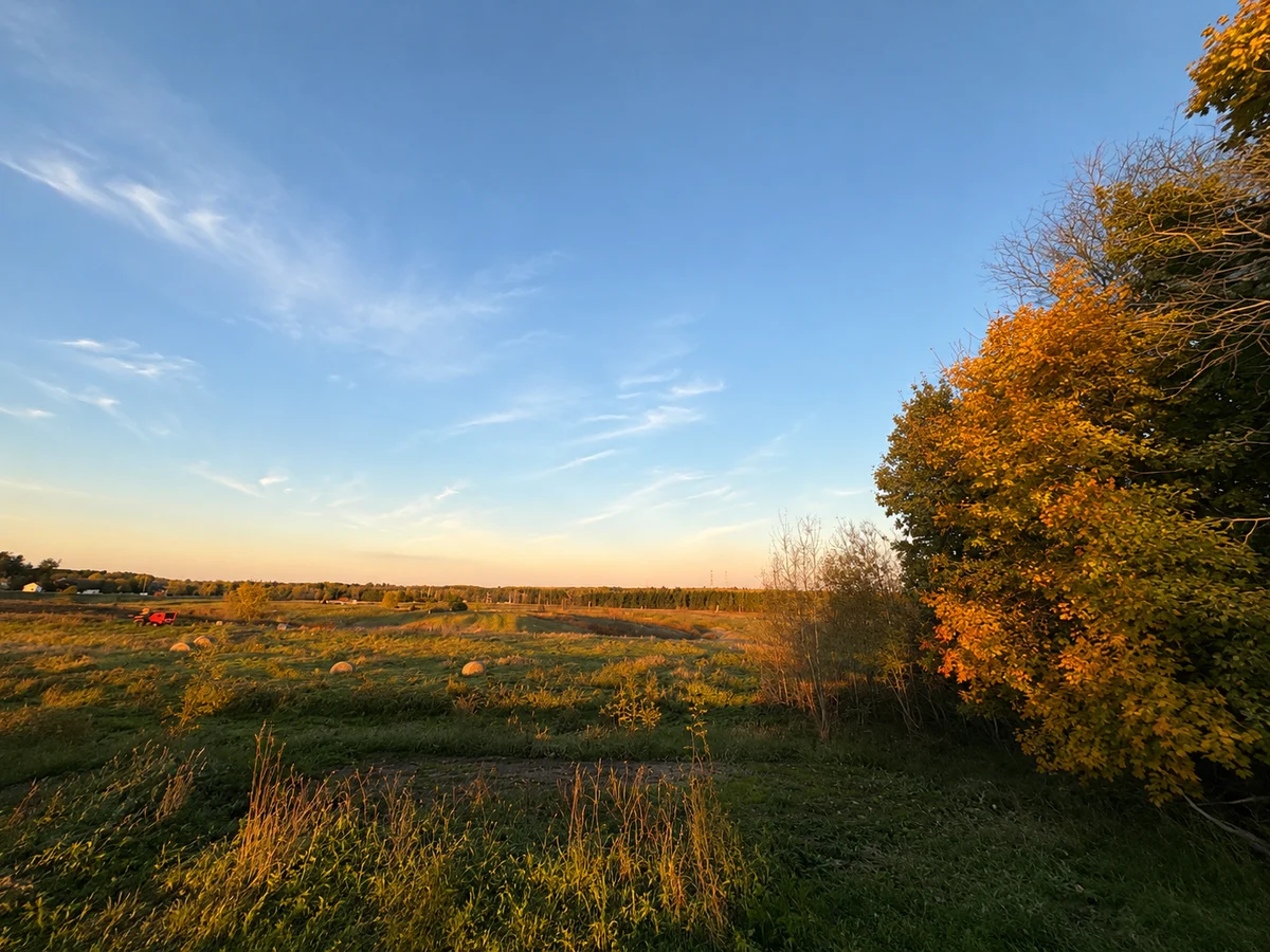 Field of Dreams Tiny Home #95