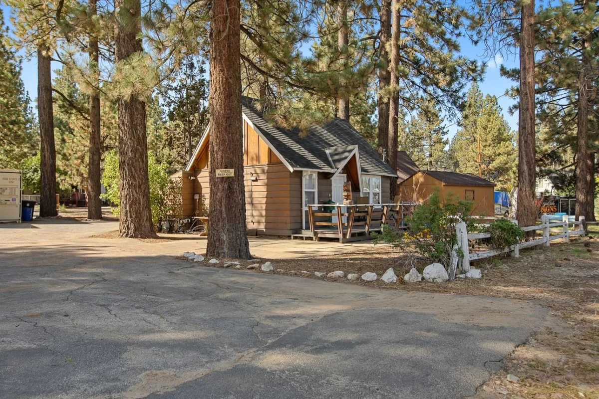 Cozy Chic 2BR Bear Sky Cabin & Easy Parking #53