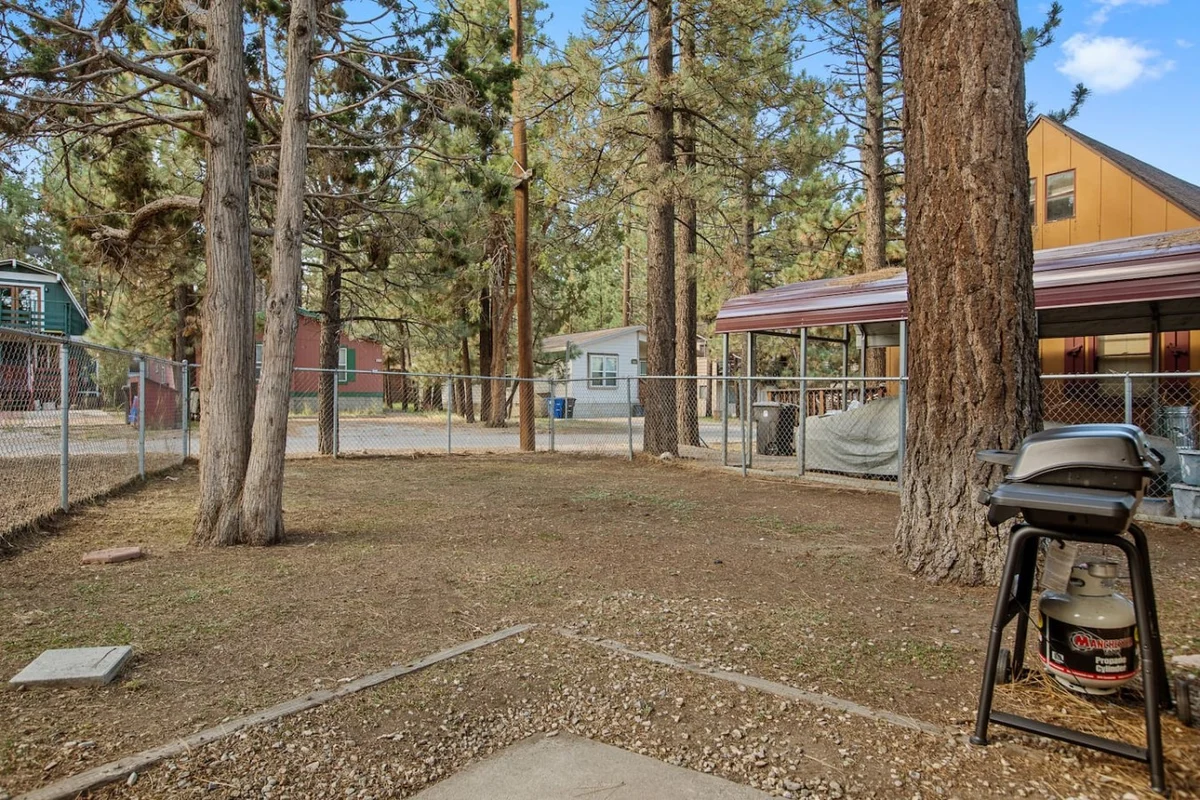 Cozy Chic 2BR Bear Sky Cabin & Easy Parking #78