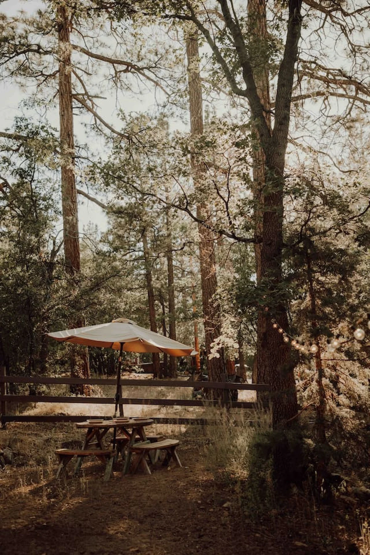 Vintage Mountain Retreat: Trendy Cabin, Loft #132