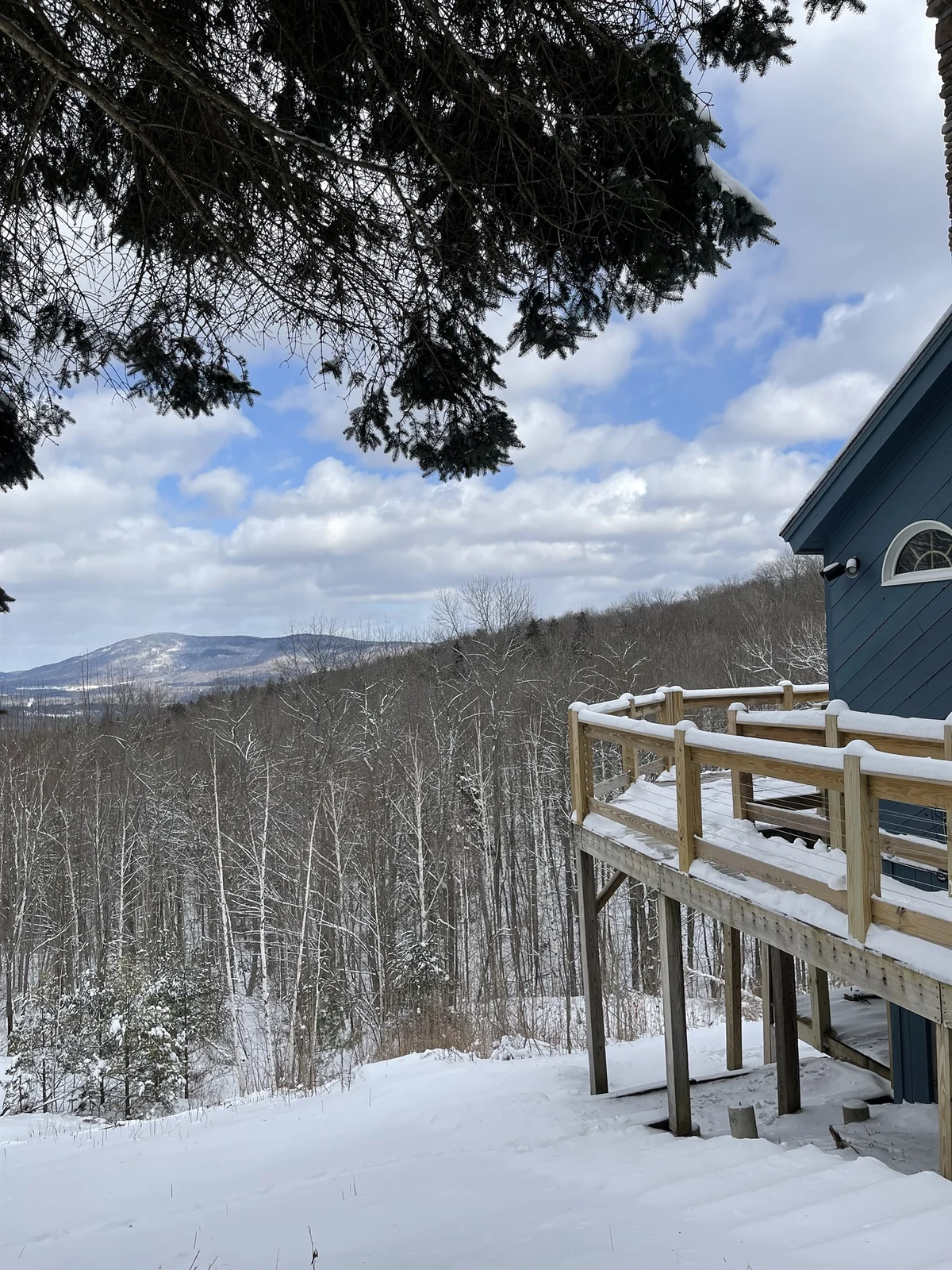 Shred Shack #18