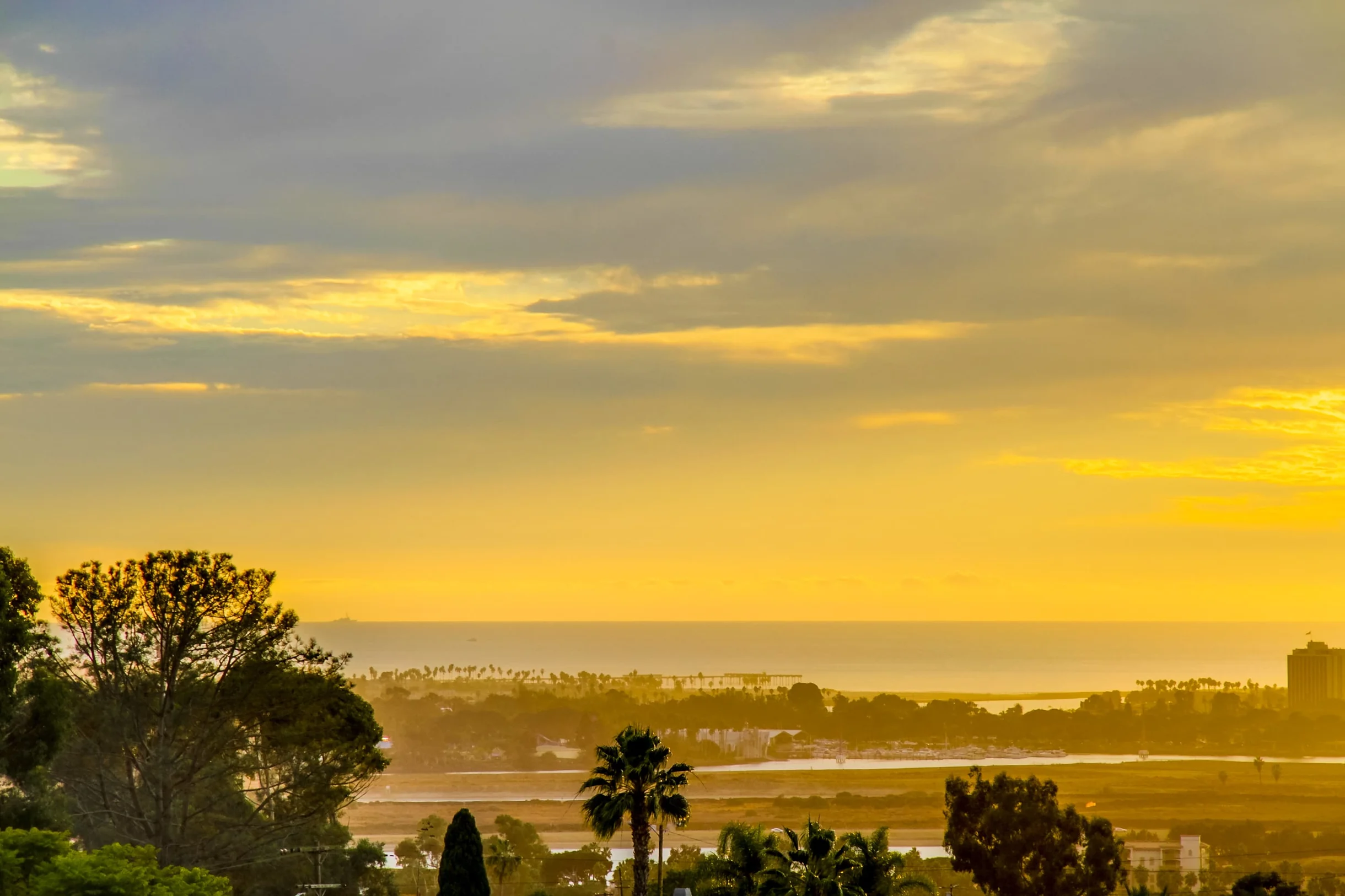 Wander San Diego Solstice #591