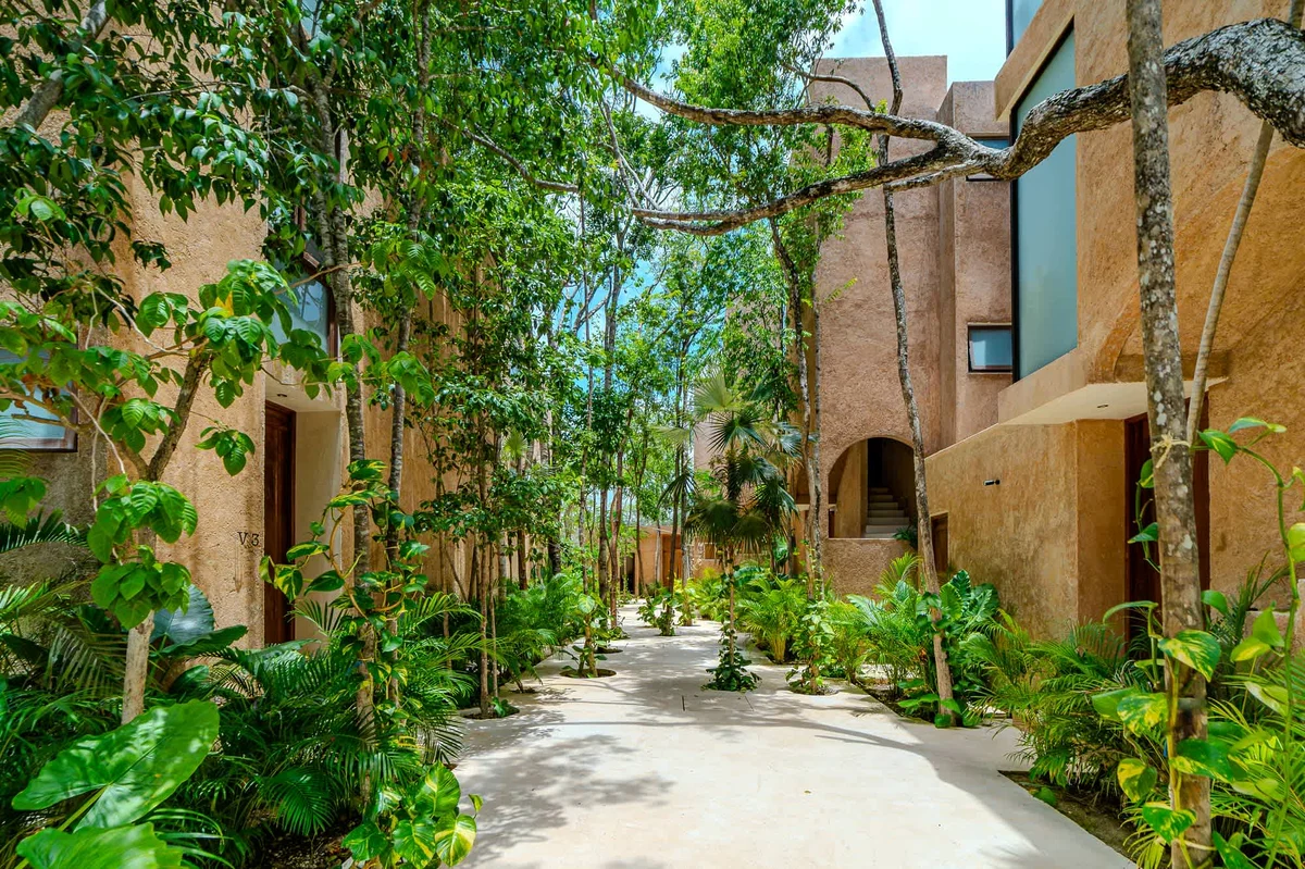 Wander Tulum Jungle Allure #47