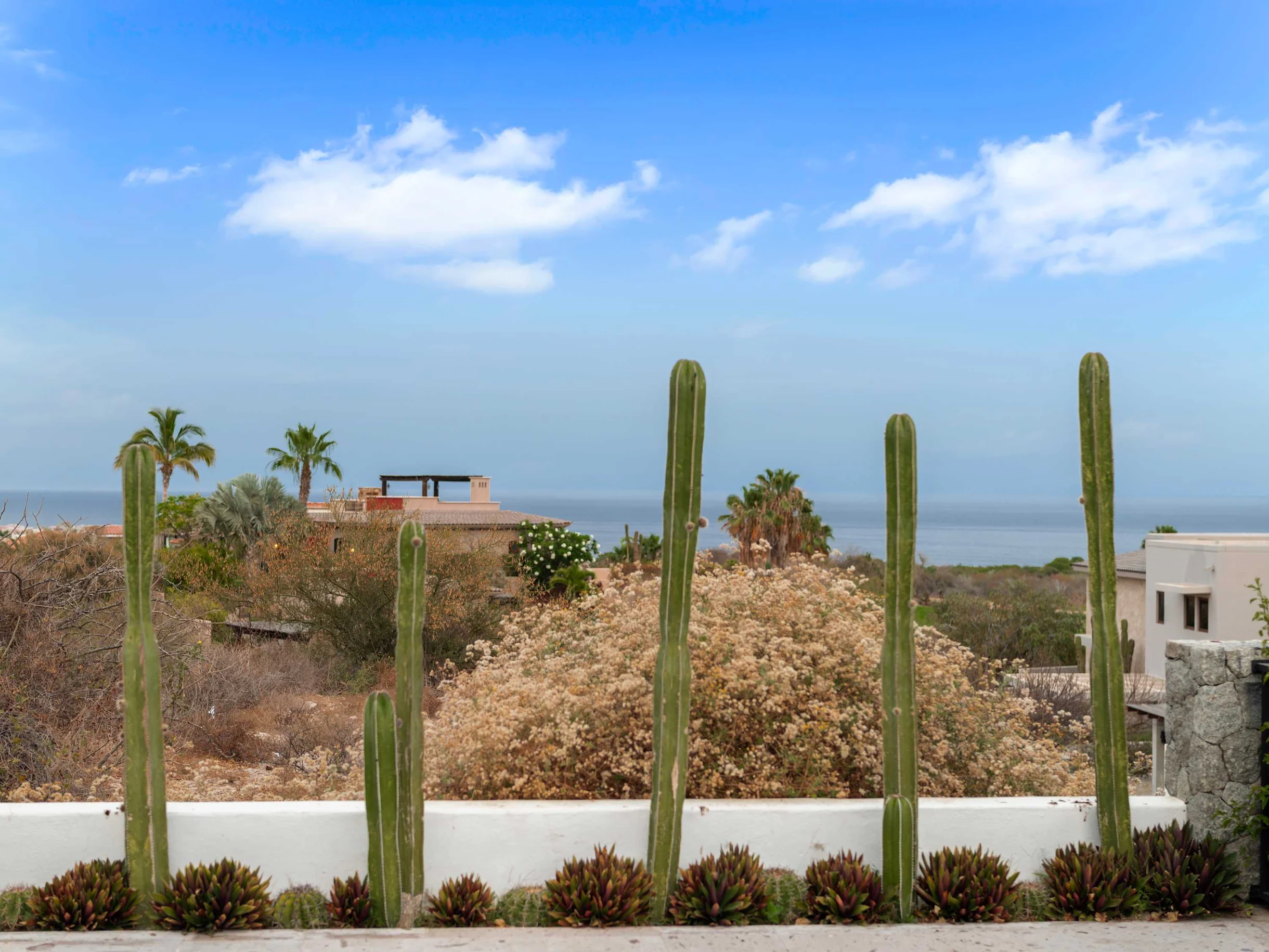 Wander Cabo Serenity #127