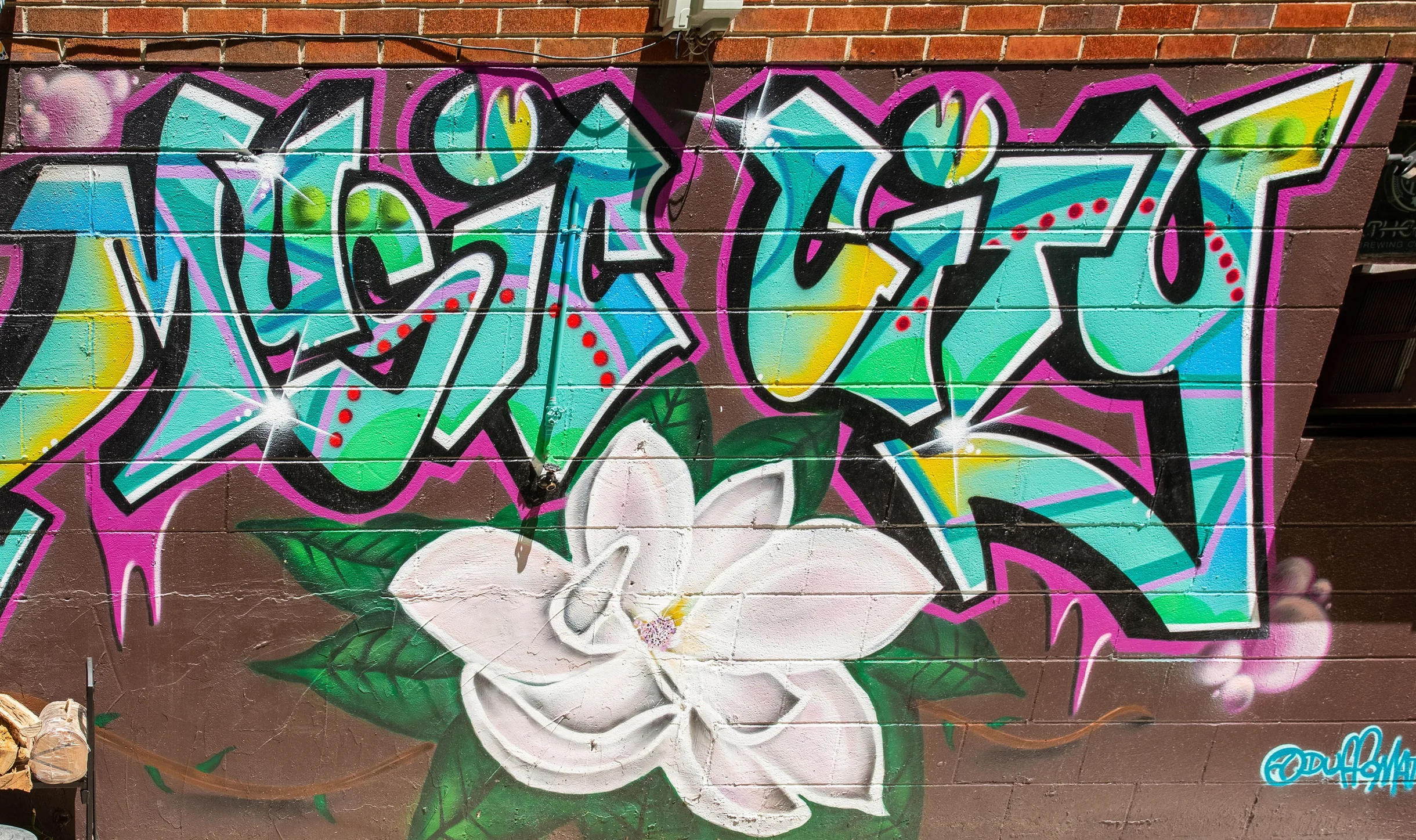 Magnolia #49