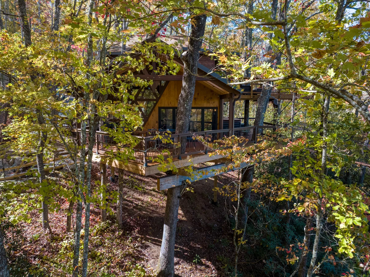 The Hylo - XL Treehouse on 7 Trees & Bridge property photo 4