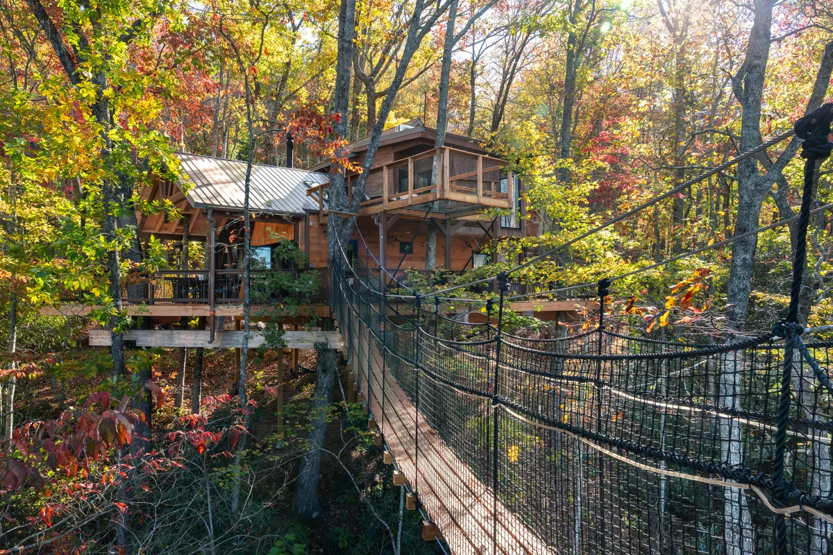 The Hylo - XL Treehouse on 7 Trees & Bridge property photo 5