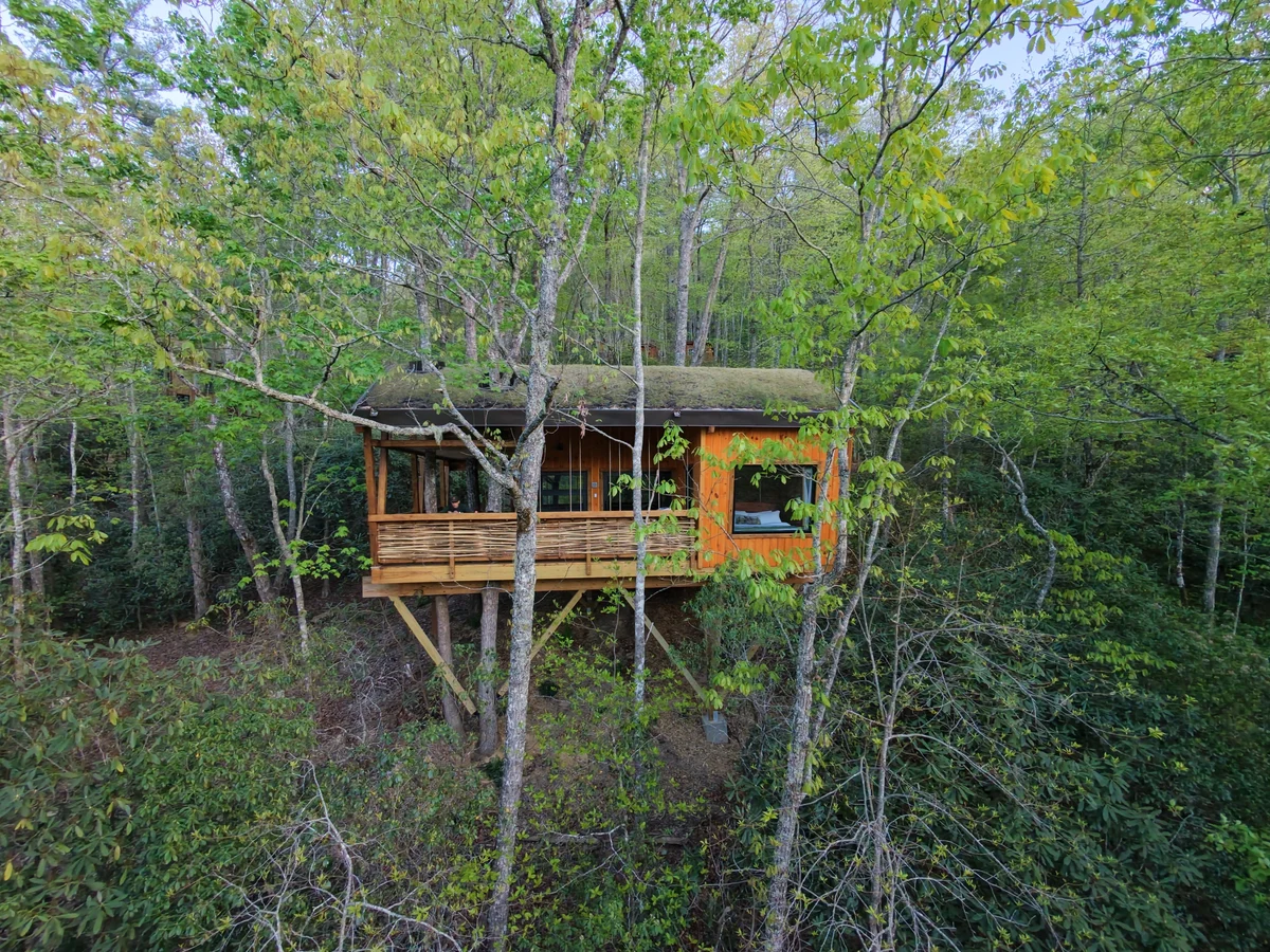 The Marsu - Nest-Shaped Cocoon Treehouse property photo 3