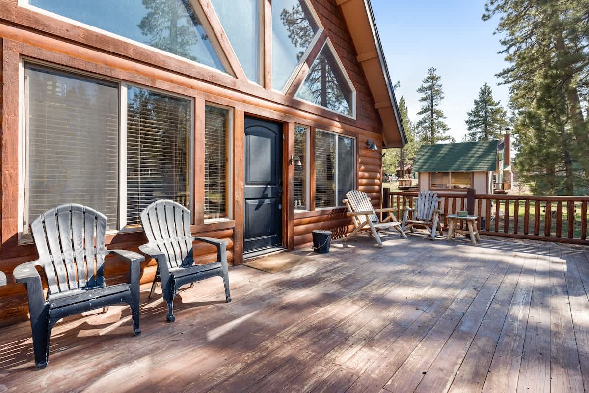 Forest property photo 3
