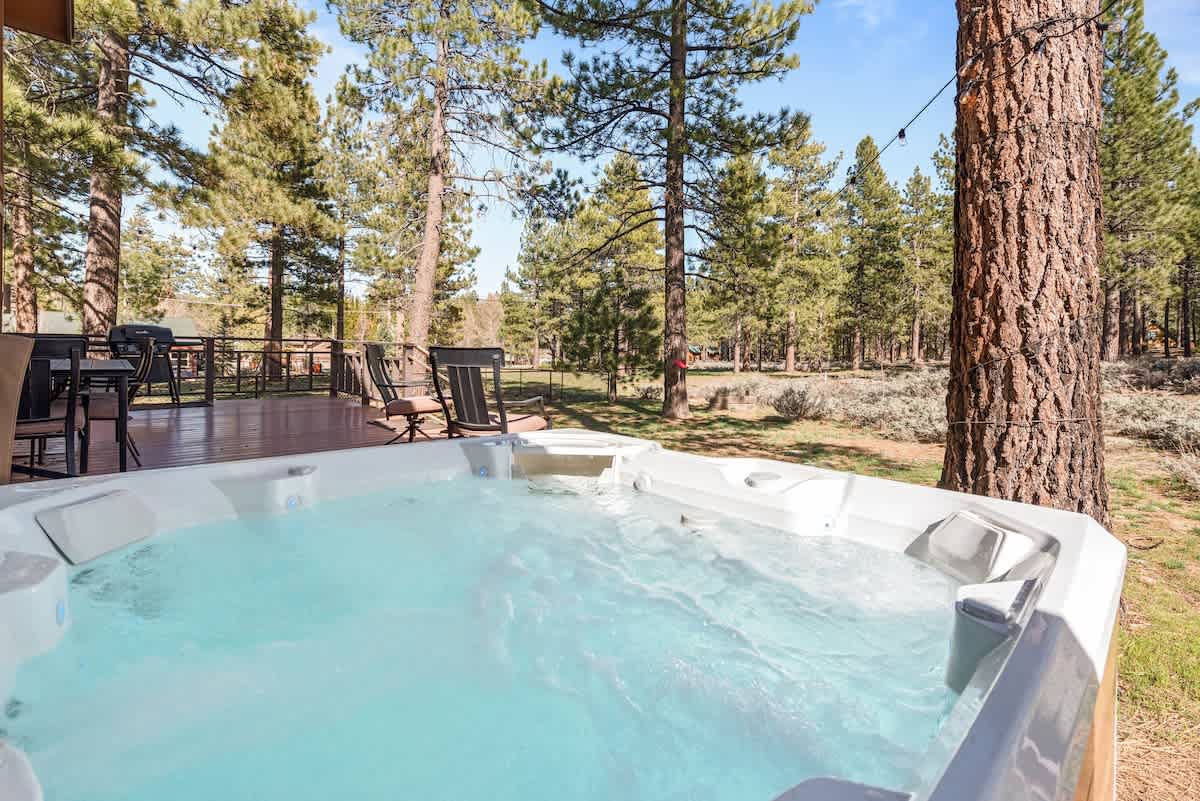 Forest property photo 4