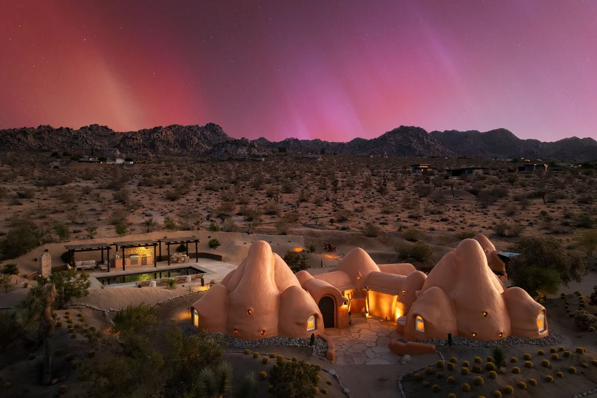 Bonita - Sandora Domes #99