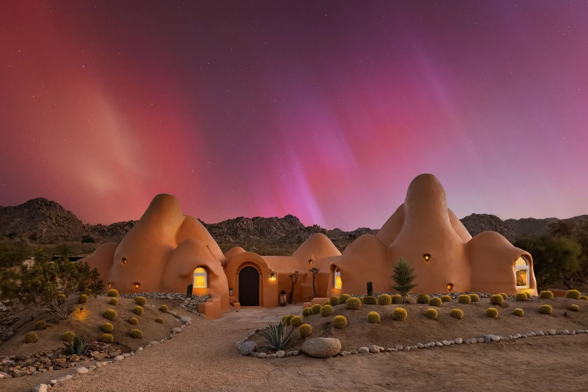 Bonita - Sandora Domes #98