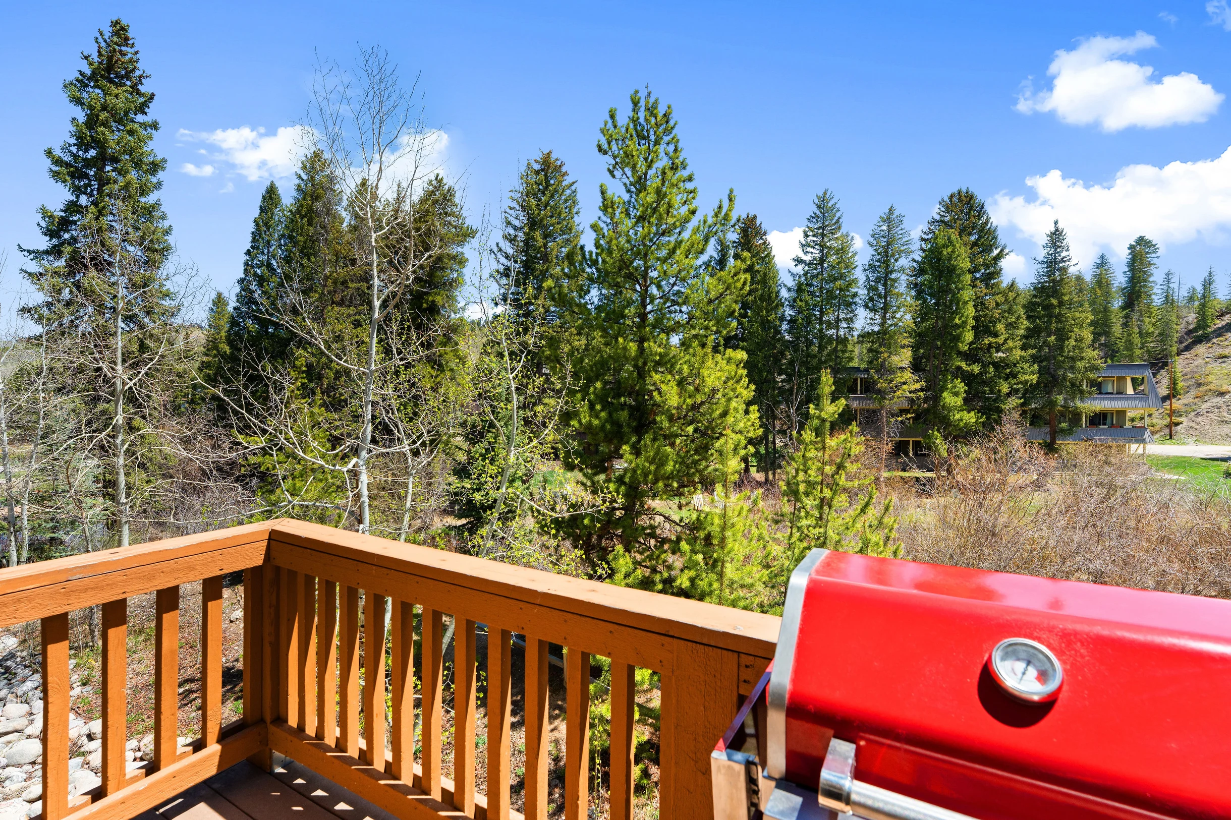Telemark River Front Villa 522 #24