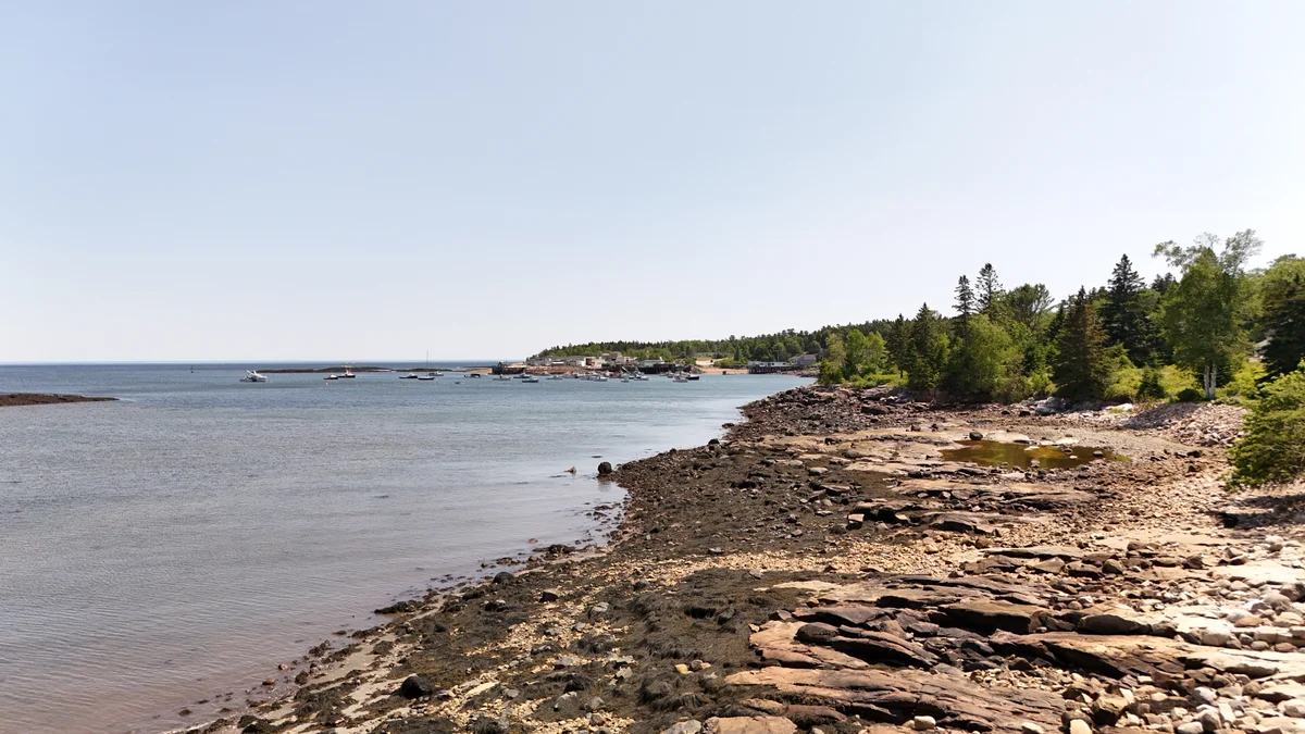 Diamond by the Sea #295