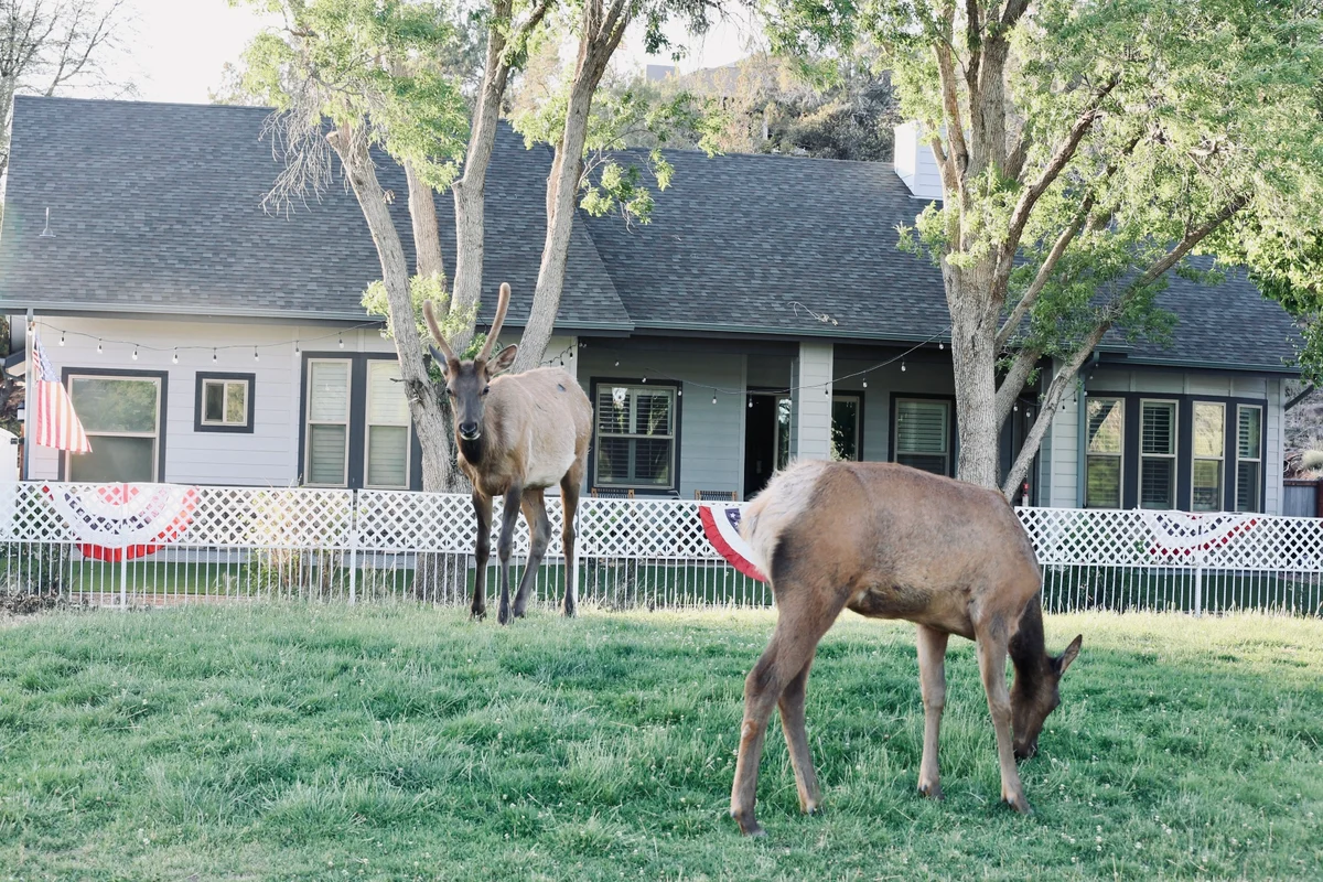 Home in Payson property photo 3