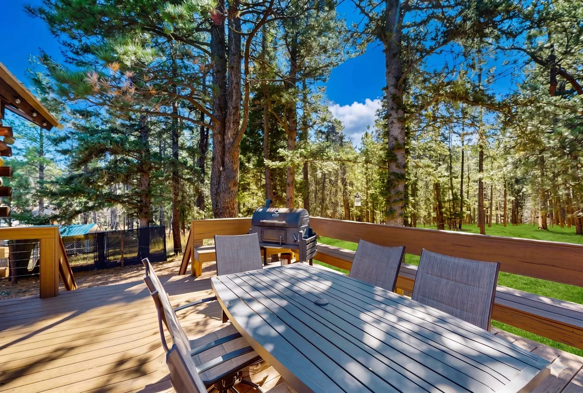 Angel Fire Big House property photo 4