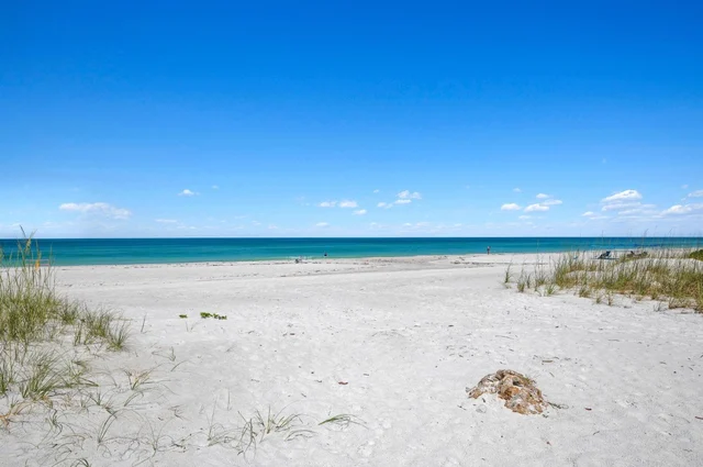 Anna Maria Wave #63