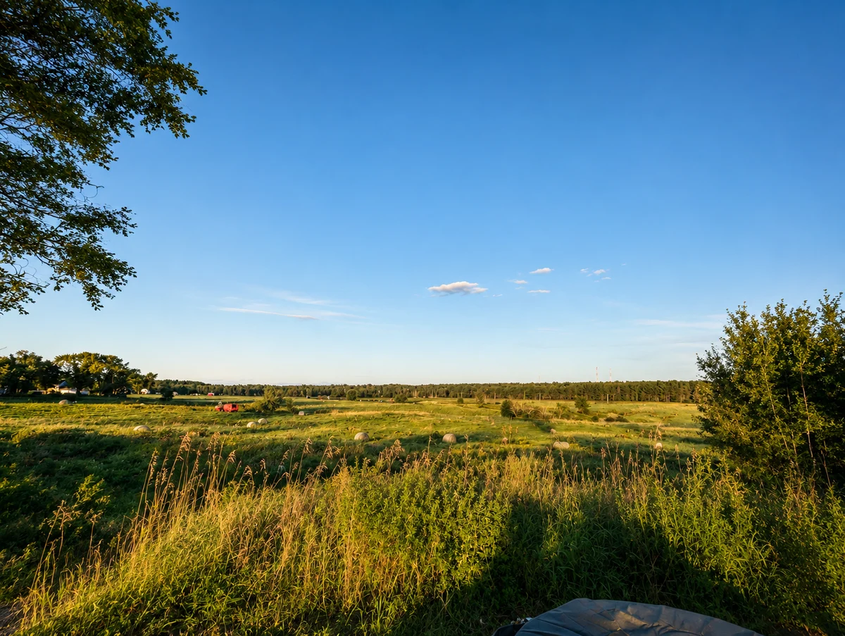 Field of Dreams Tiny Home #141