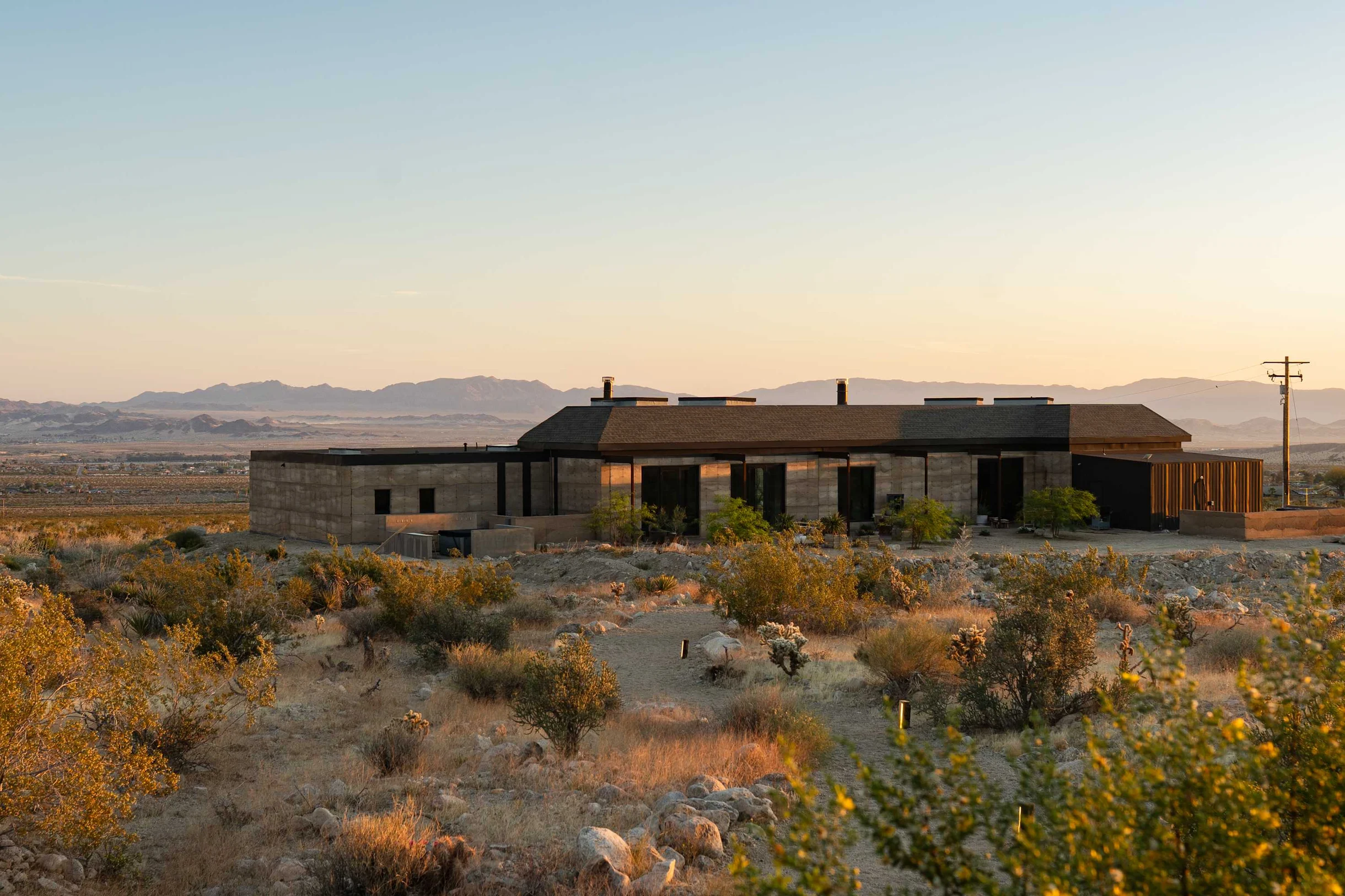 Wander Mojave Desert #143