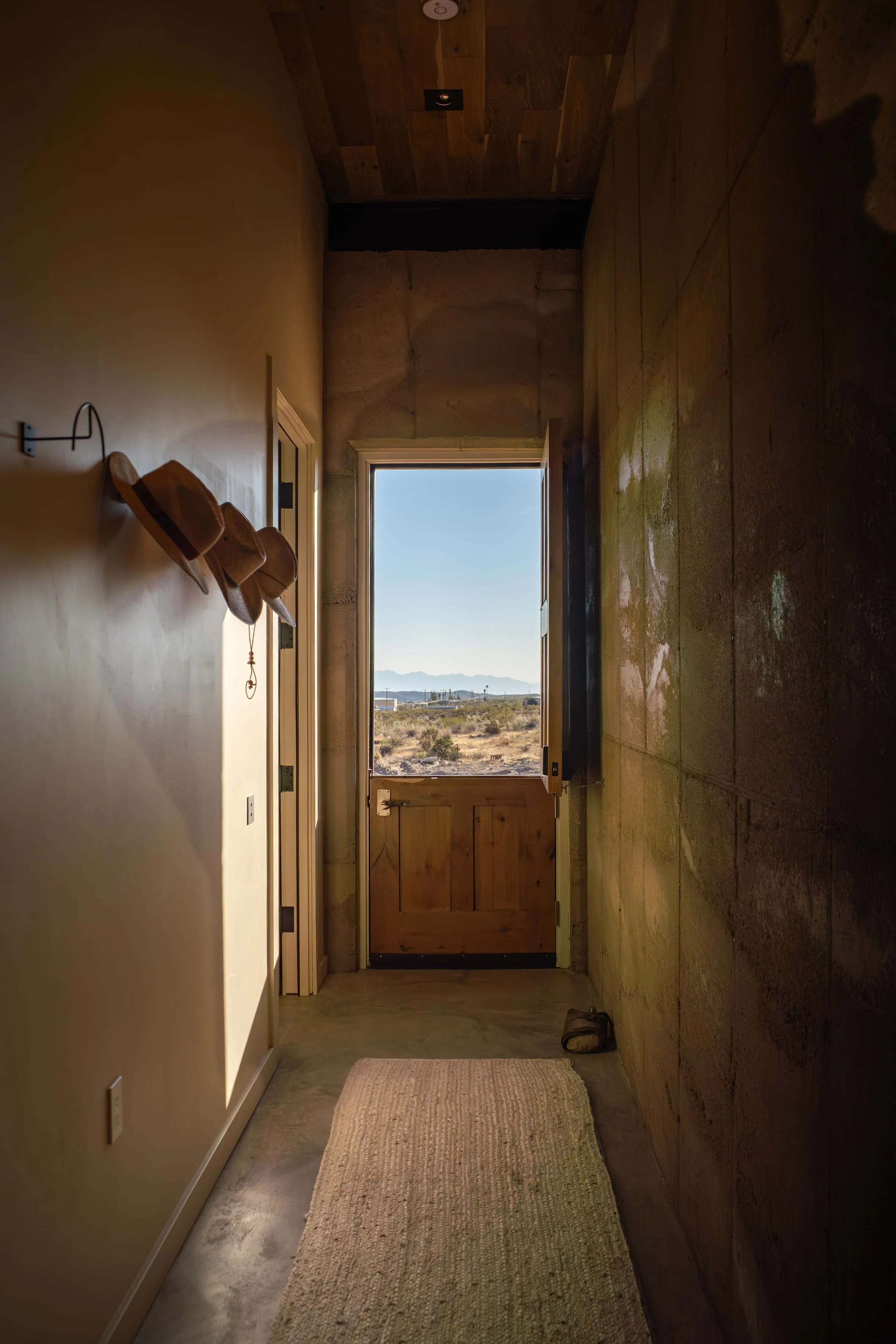 Wander Mojave Desert #98