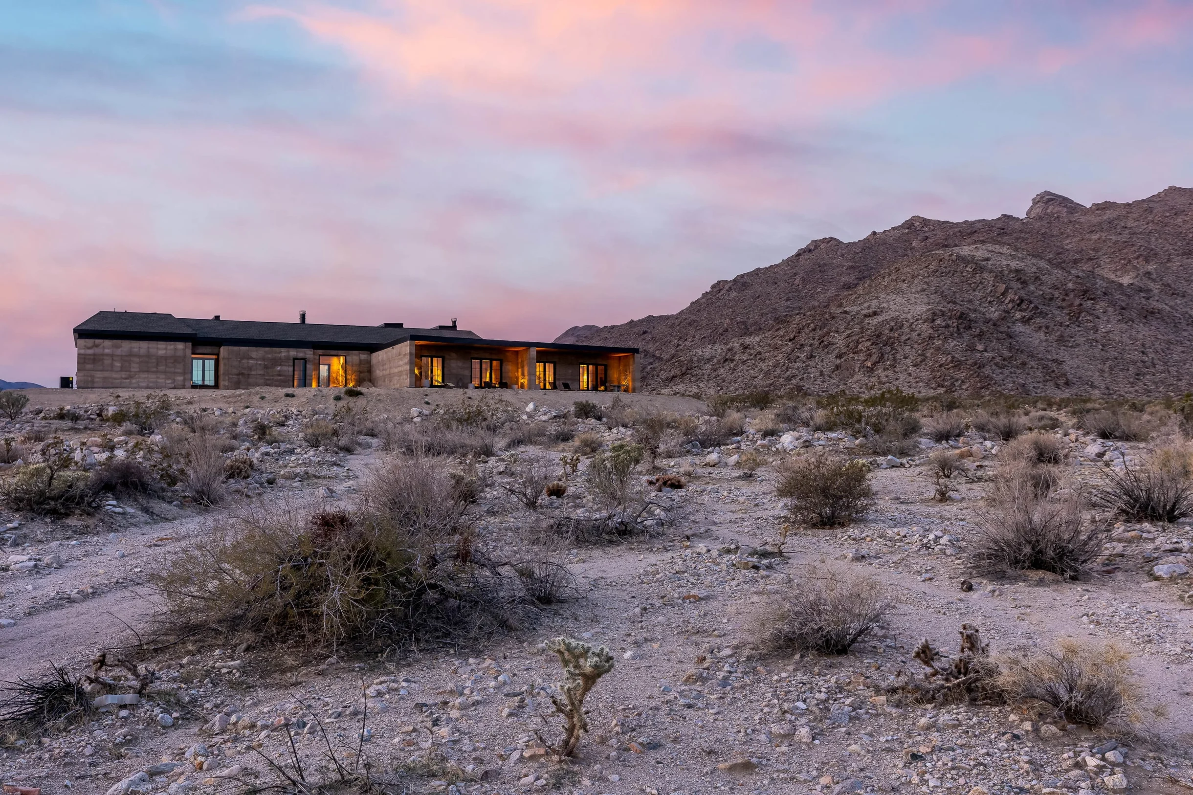 Wander Mojave Desert #133