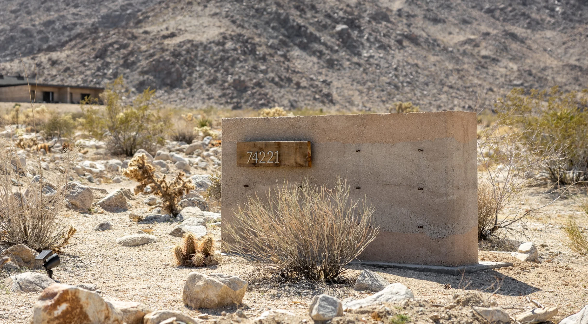 Wander Mojave Desert #157